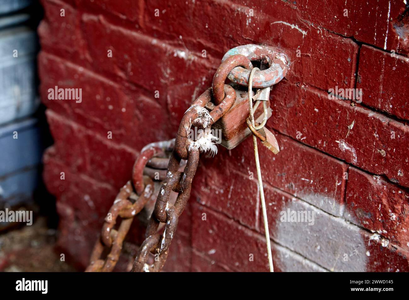 Catena arrugginita bloccata sul muro di mattoni rossi Foto Stock