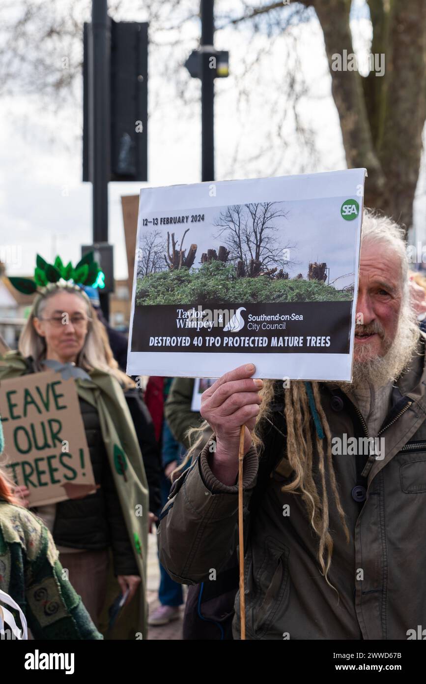 Protesta per salvare un albero di aereo londinese a Southend on Sea, Regno Unito. Placard che fa riferimento agli alberi degli ordini di conservazione degli alberi distrutti per lo sviluppo di Taylor Wimpey Foto Stock