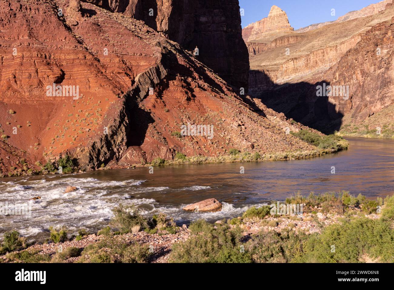 Rapide di Hance sul fiume Colorado nel Red Canyon, Grand Canyon Park Foto Stock