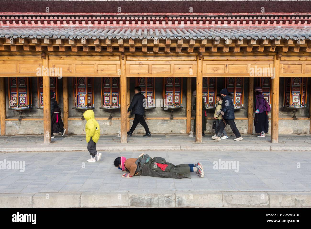 Pellegrina che si prostrava lungo le ruote della preghiera intorno al monastero di Labrang. Contea di Xiahe, prefettura autonoma tibetana di Gannan, Gansu, Cina Foto Stock