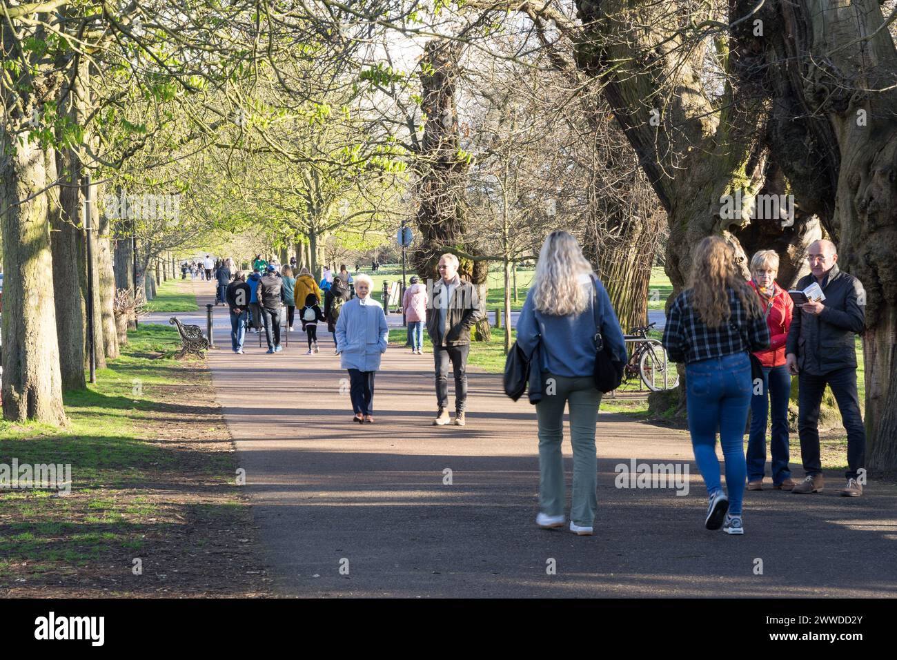 Londra, Regno Unito, 23 marzo 2024. I visitatori affollano il London Greenwich Park in un periodo di sole sabato in primavera, Inghilterra. Crediti: xiu bao/Alamy Live News Foto Stock