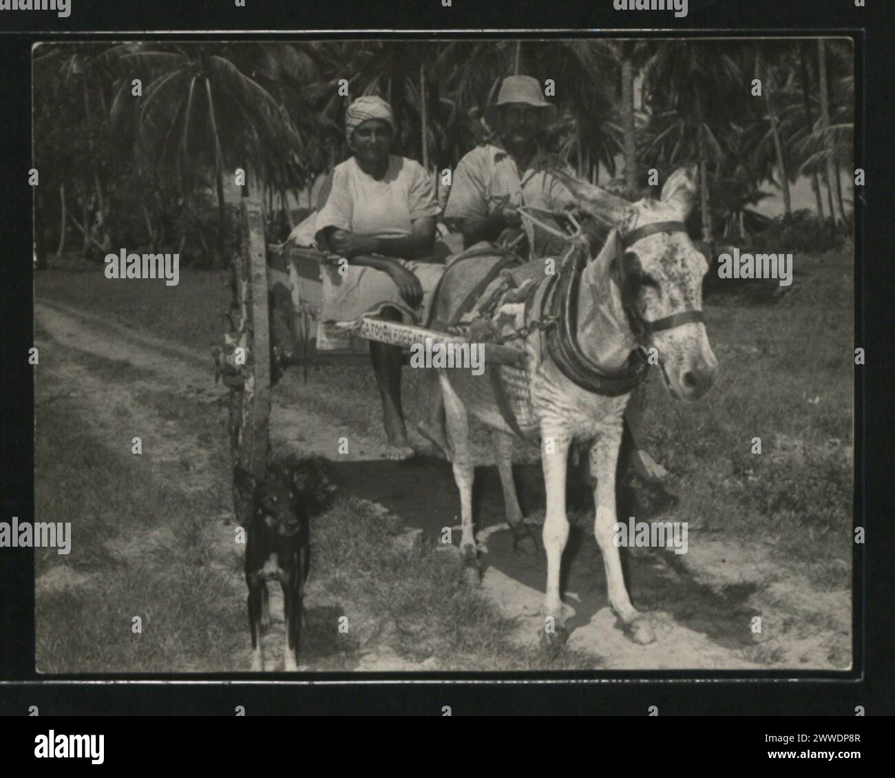 Descrizione: Un agricoltore e sua moglie tornano a casa al termine di una giornata di lavoro. Luogo: Guyana Data: 1953 guyana, caribbeanthrough alens Foto Stock