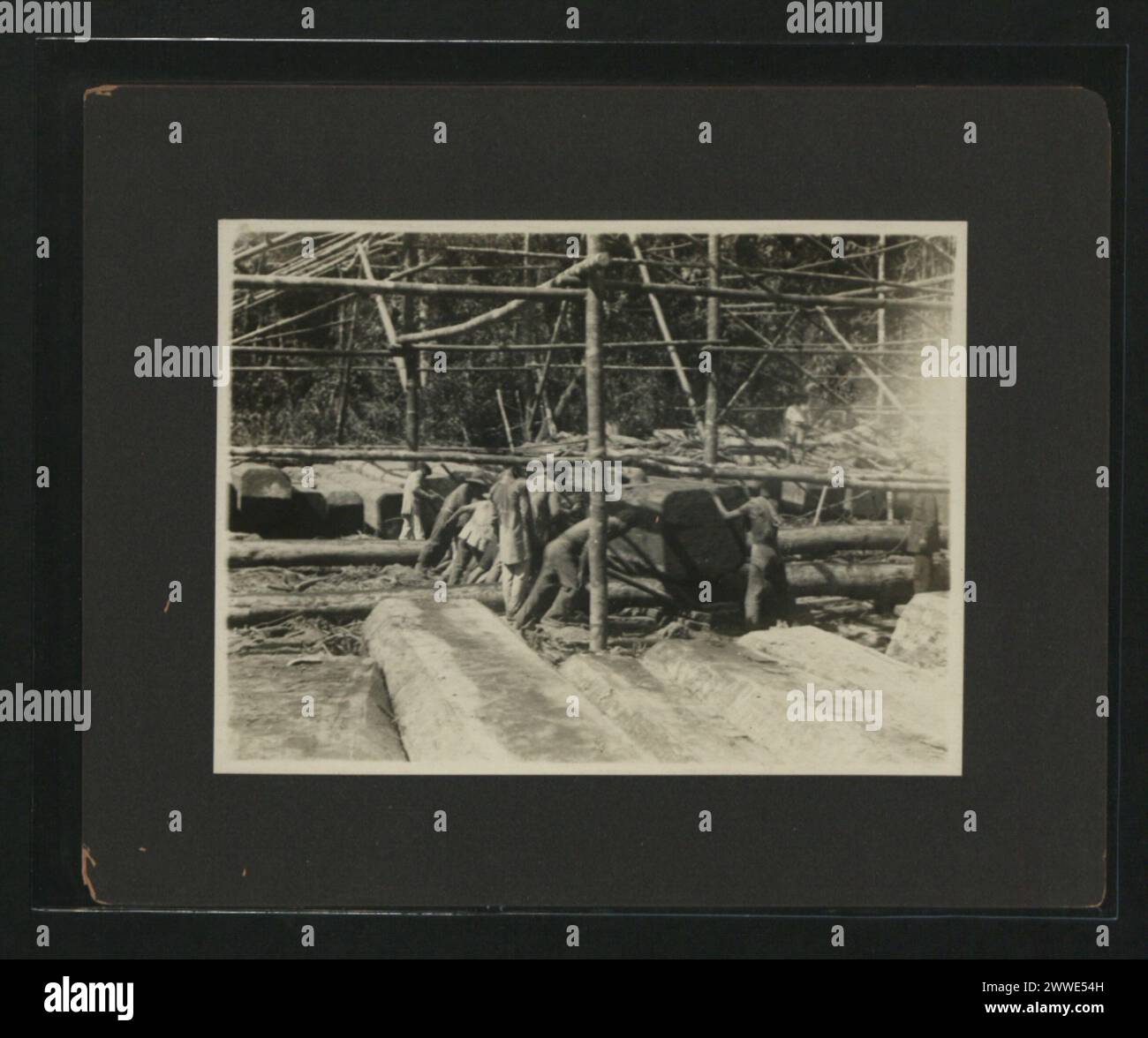 I lavoratori trasferiscono il legname manualmente negli impianti di stoccaggio del Borneo, dimostrando le pratiche di movimentazione manuale nel settore forestale. Foto Stock