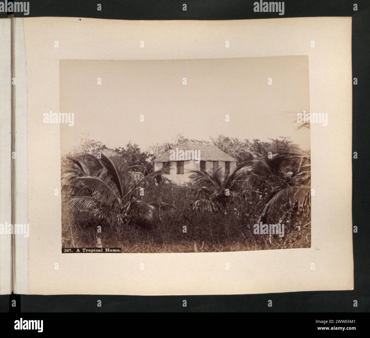 Descrizione: Una casa tropicale. Luogo: Bahamas Data: 1890 caraibi, bahamas, americhe, caribbeanthrough alens Foto Stock