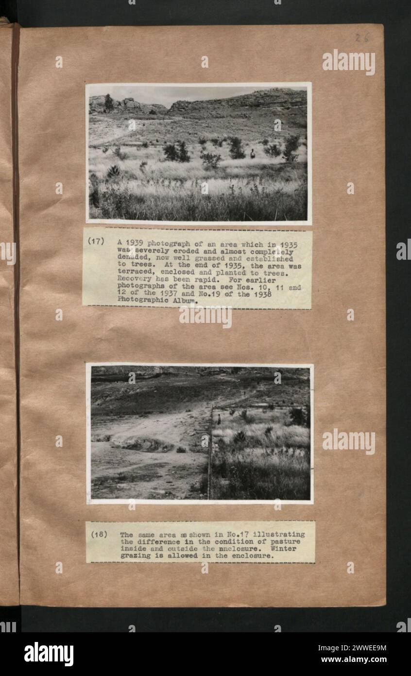 L'area gravemente erosa nel 1935 fu chiusa, piantata con alberi, e si sviluppò in terreni ben erbosi nel 1939. Il recinto consente il pascolo invernale e migliora le condizioni dei pascoli. Foto Stock