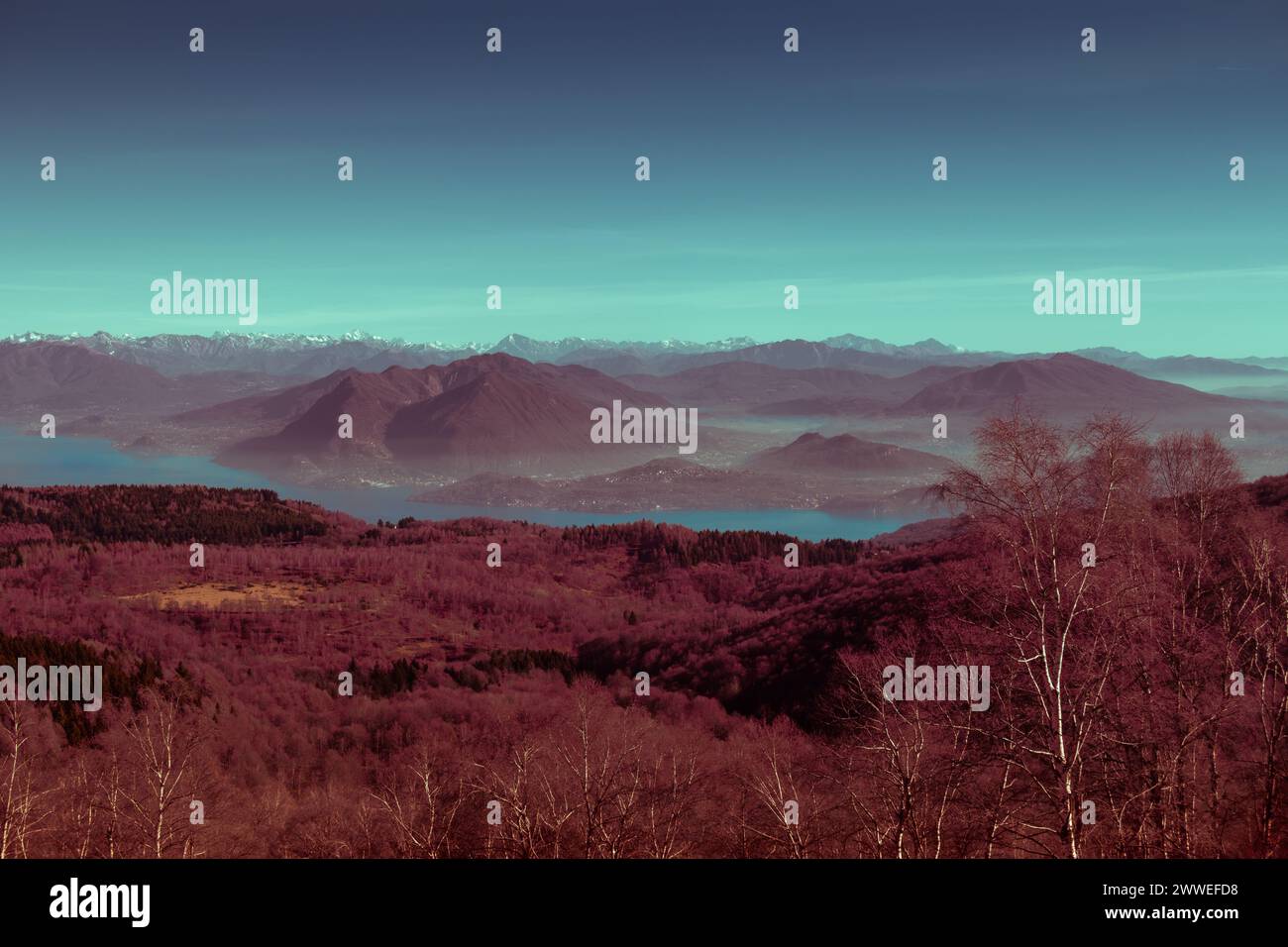 Vista surreale dal monte Mottarone (lato Stresa) in una mattina d'inverno. Lago maggiore sullo sfondo. Piemonte - Italia. Foto Stock