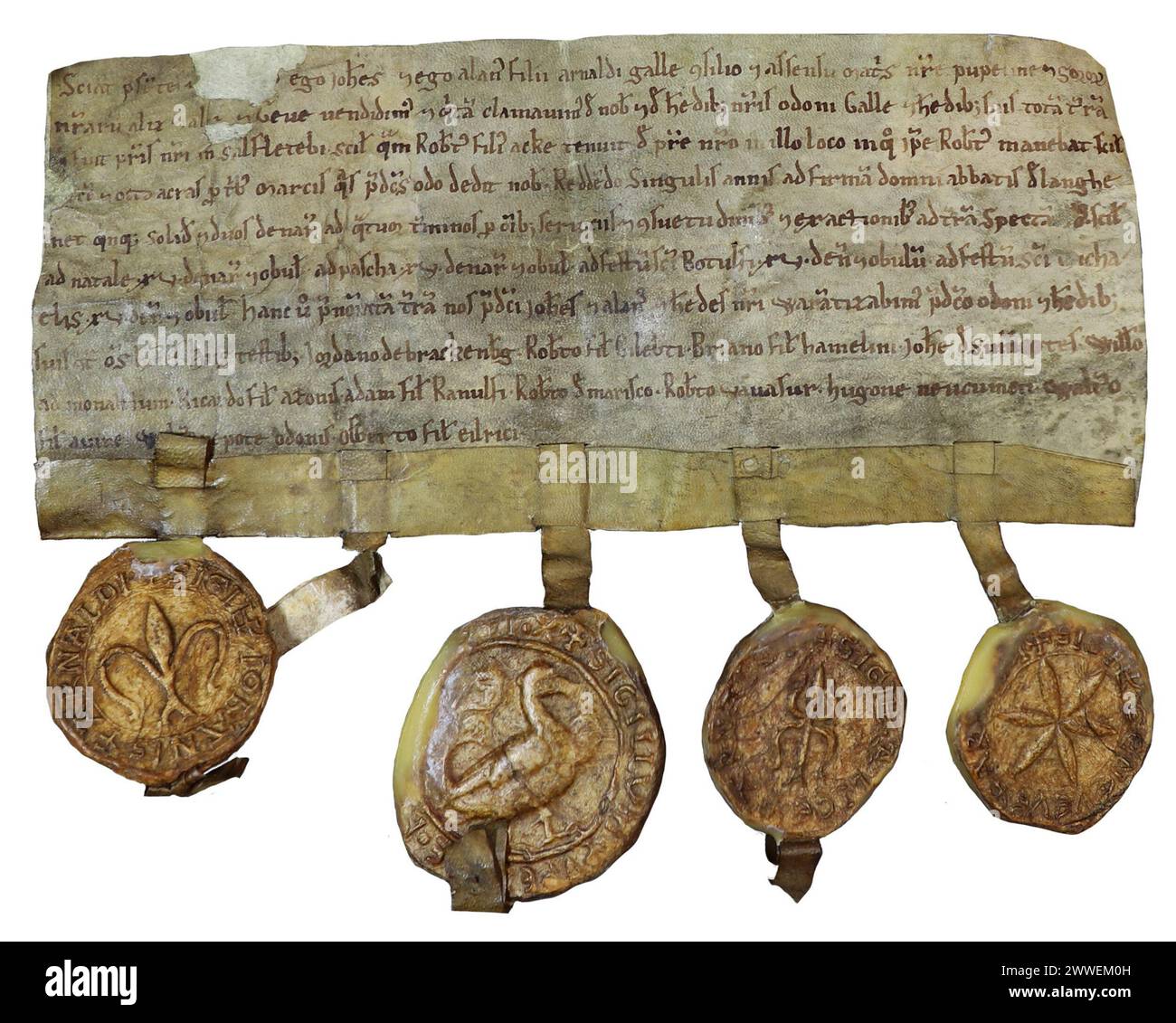 Documento sui sigilli delle donne medievali: Atto di Pupelina Galle, dei suoi figli e delle sue figlie, fine XII secolo. Rif. Catalogo: DL 25/2719 Descrizione: La vita delle donne medievali è stata modellata dal fatto che fossero sposate o meno. Nella legge medievale inglese, una donna non sposata era sotto l'autorità di un parente maschile, mentre una donna sposata era solitamente rappresentata dal marito. Tuttavia, una vedova il cui marito era morto poteva agire da sola e gestire i propri affari e le proprie terre. Molte vedove medievali erano socialmente molto potenti a causa di questo. Questo documento della fine del XII secolo riguarda la vendita di alcuni fa Foto Stock