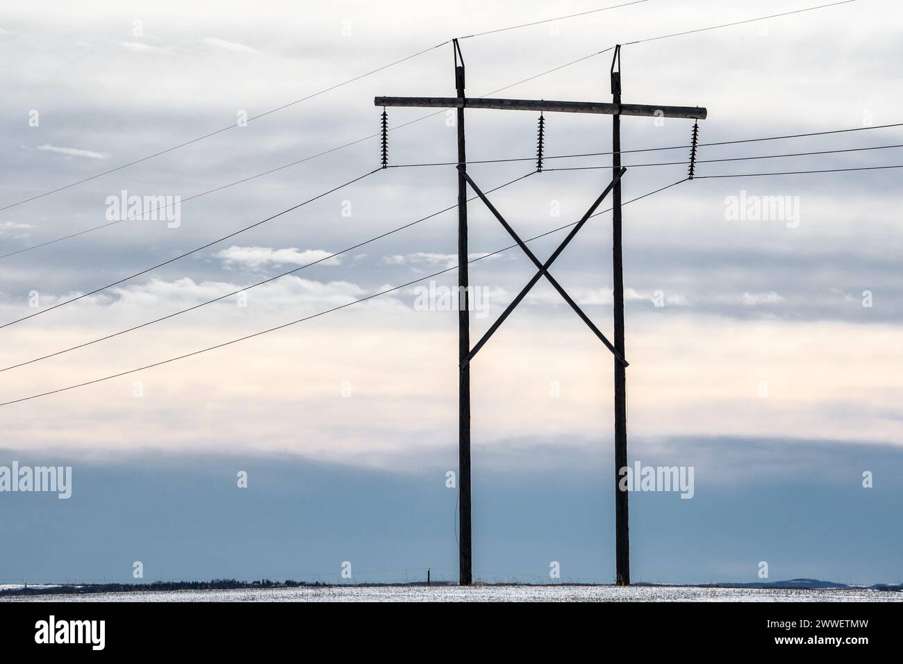 Palo elettrico isolato in legno con lunghi cavi che trasportano elettricità durante la luce serale, affacciato sulle praterie invernali sotto un cielo freddo di colore in Alberta Foto Stock