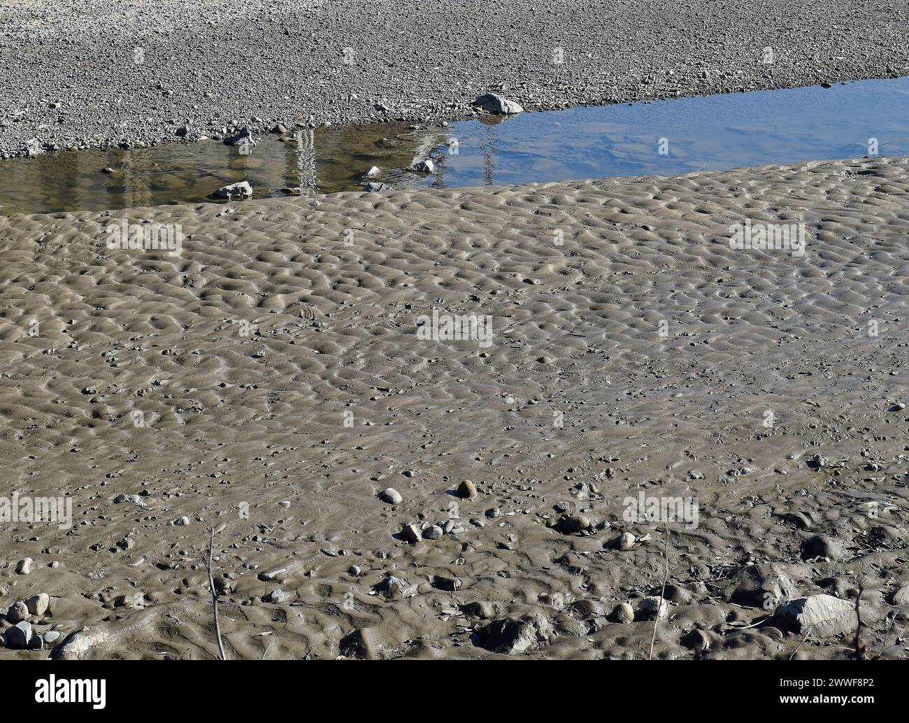 Deposito di fango di Alameda Creek. Fremont, California Foto Stock