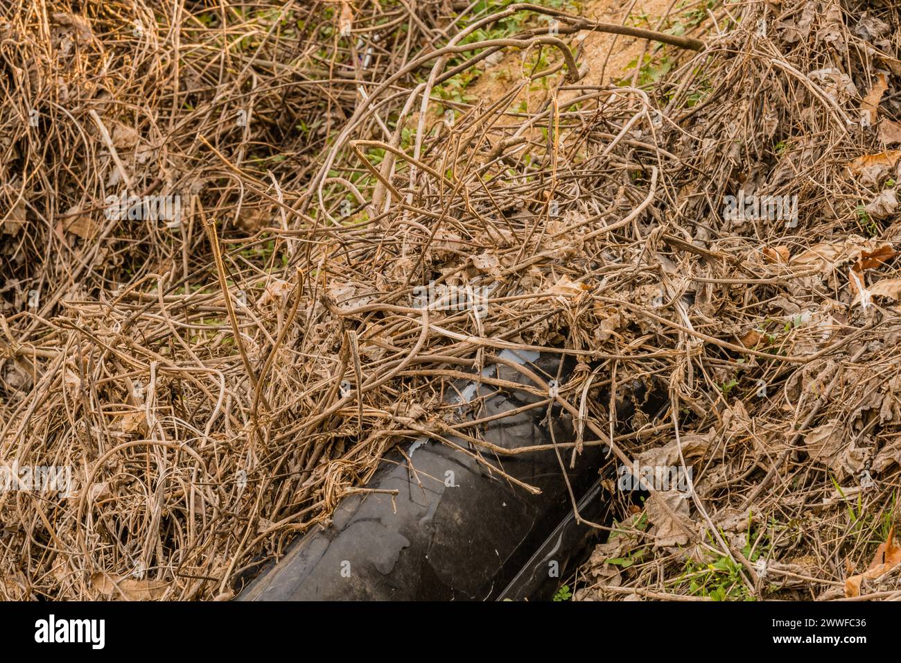 Uno pneumatico usurato e abbandonato mezzo sepolto in un ambiente erboso, in Corea del Sud Foto Stock