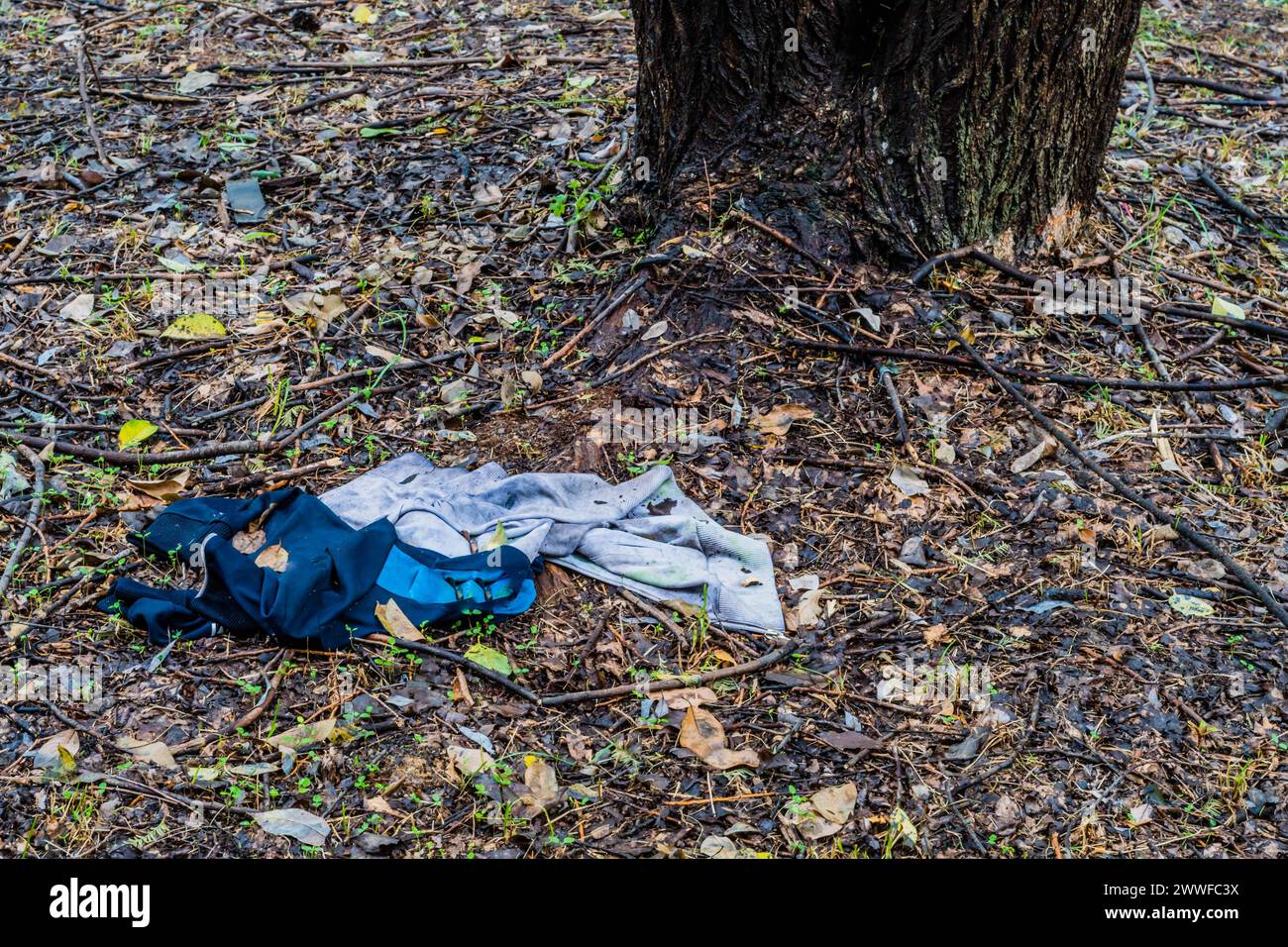 Vestiti scartati sul terreno forestale, che rappresentano abbandono e rifiuti ambientali, in Corea del Sud Foto Stock