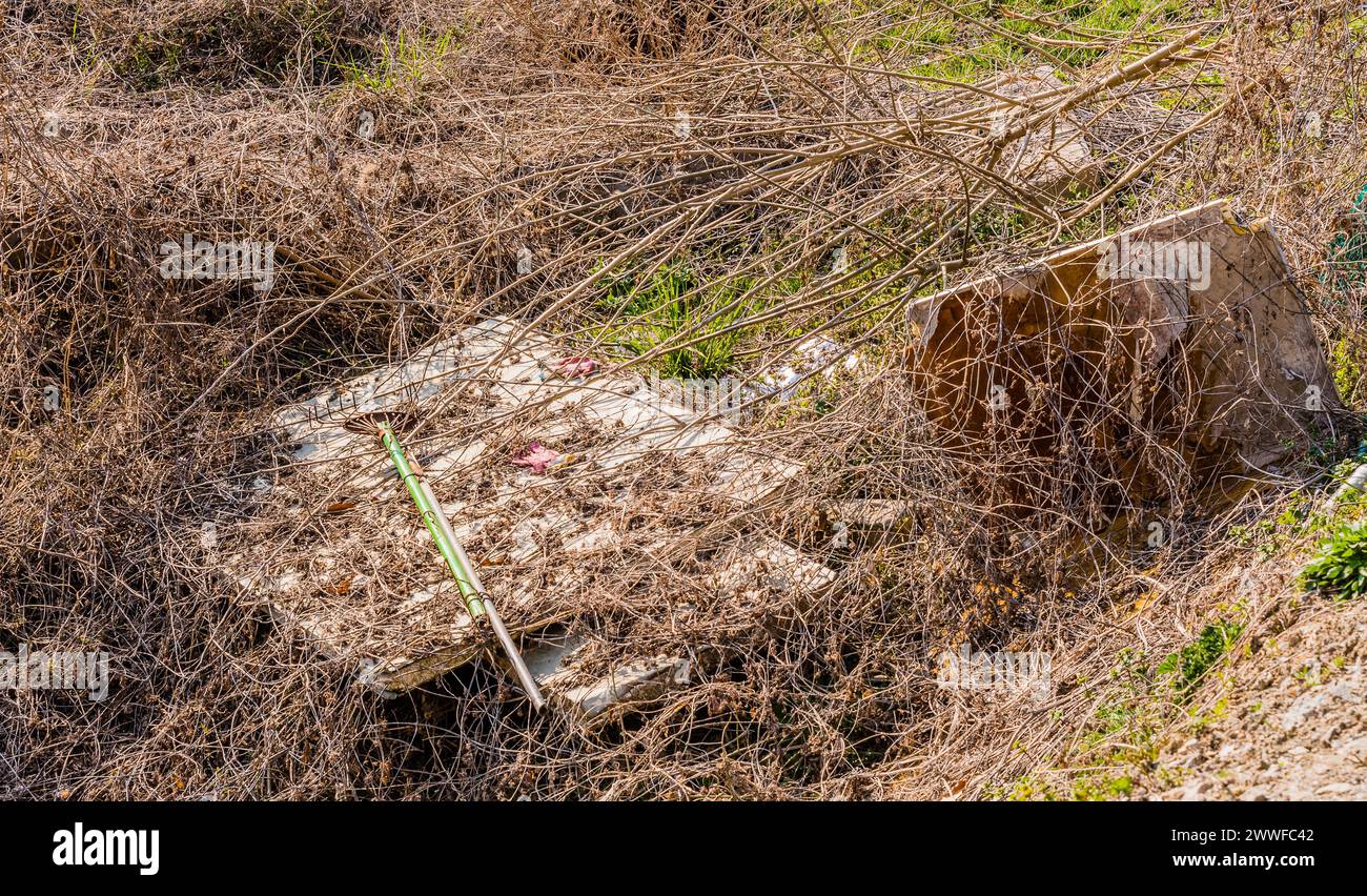 Una scena all'aperto con vegetazione secca e rifiuti che mostrano lo smaltimento improprio dei rifiuti, in Corea del Sud Foto Stock