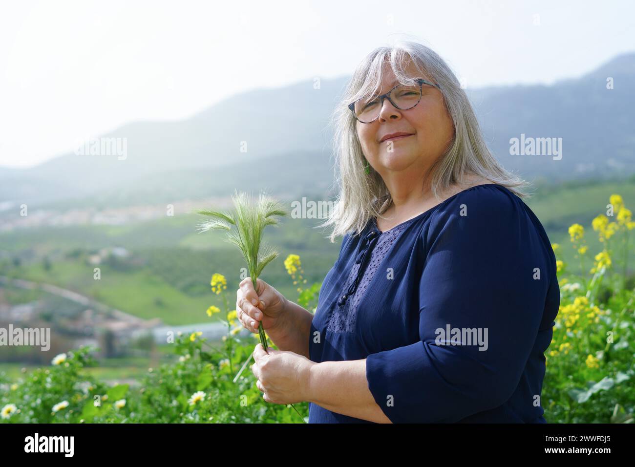 Donna dai capelli bianchi più anziana in campo con orecchie d'orzo nelle mani e paesaggi di montagna sullo sfondo Foto Stock