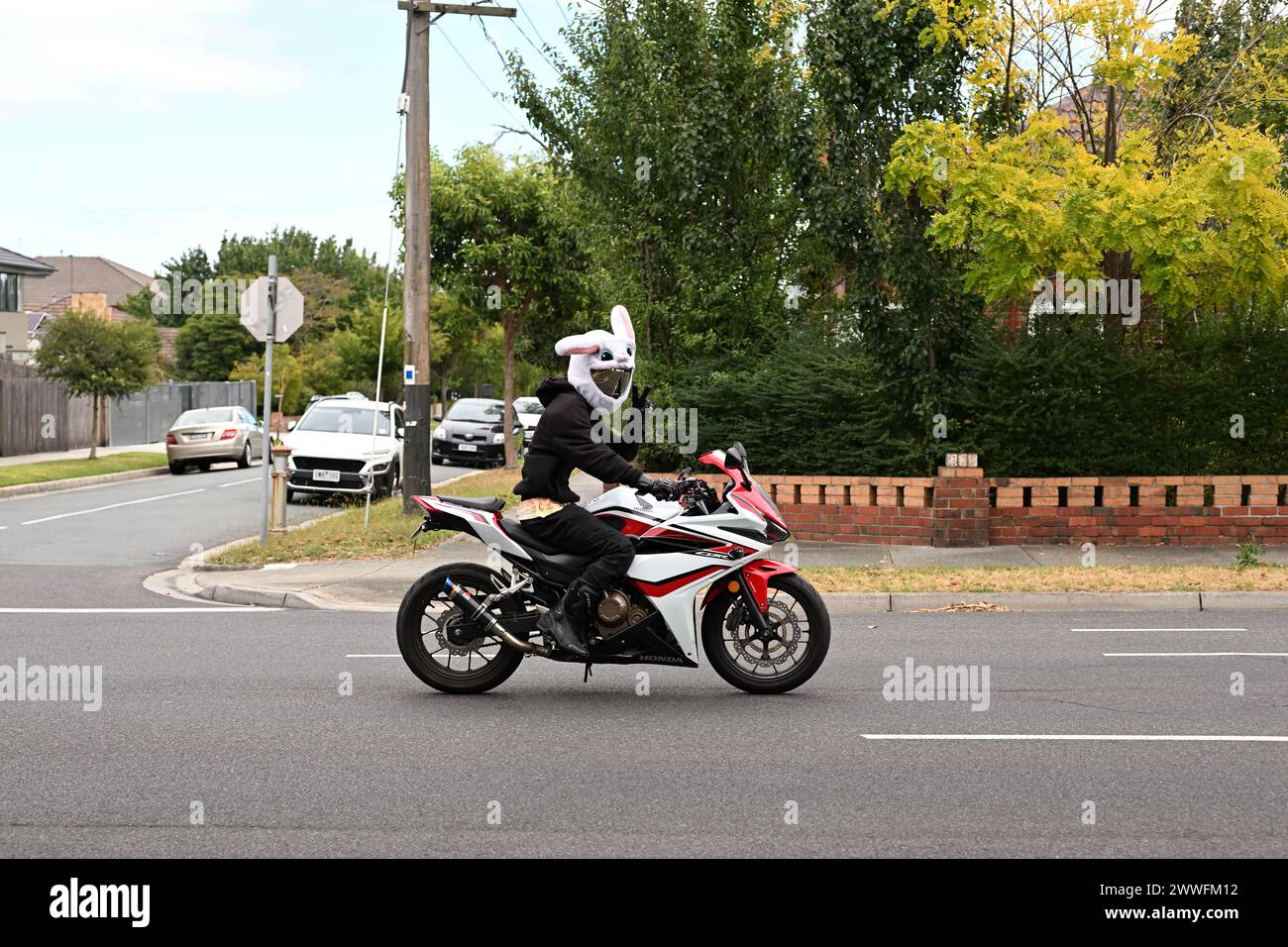 Motociclista, su una moto Honda CBR500R, che fa un cartello di pace indossando una copertura per coniglietto pasquale sopra il casco mentre percorre una strada Foto Stock