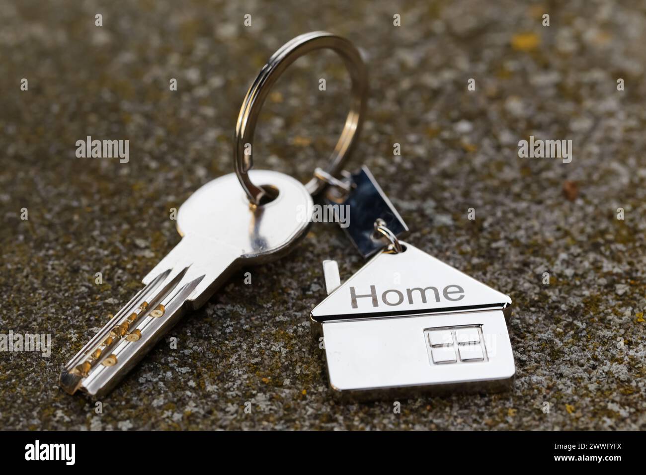 Simbolo della casa con chiavi argentate su sfondo astratto. Concetto immobiliare Foto Stock