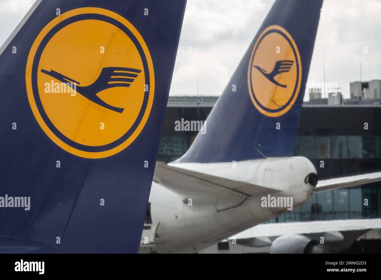 Francoforte, Germania - 23 marzo 2024: Aerei Lufthansa visti all'aeroporto internazionale di Francoforte Foto Stock