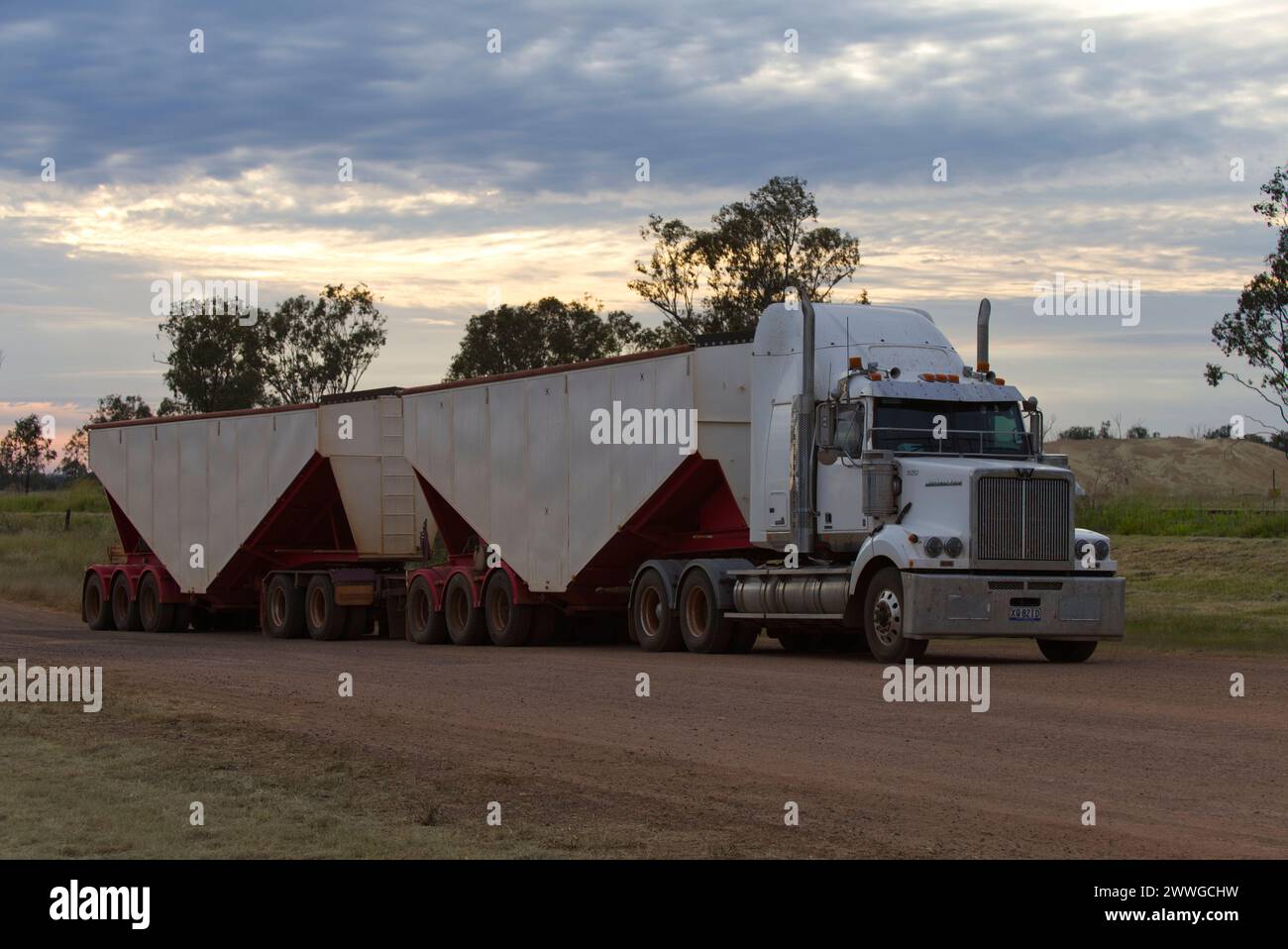 Treno dedicato per il trasporto del grano a Wallumbilla, Queensland, Australia Foto Stock