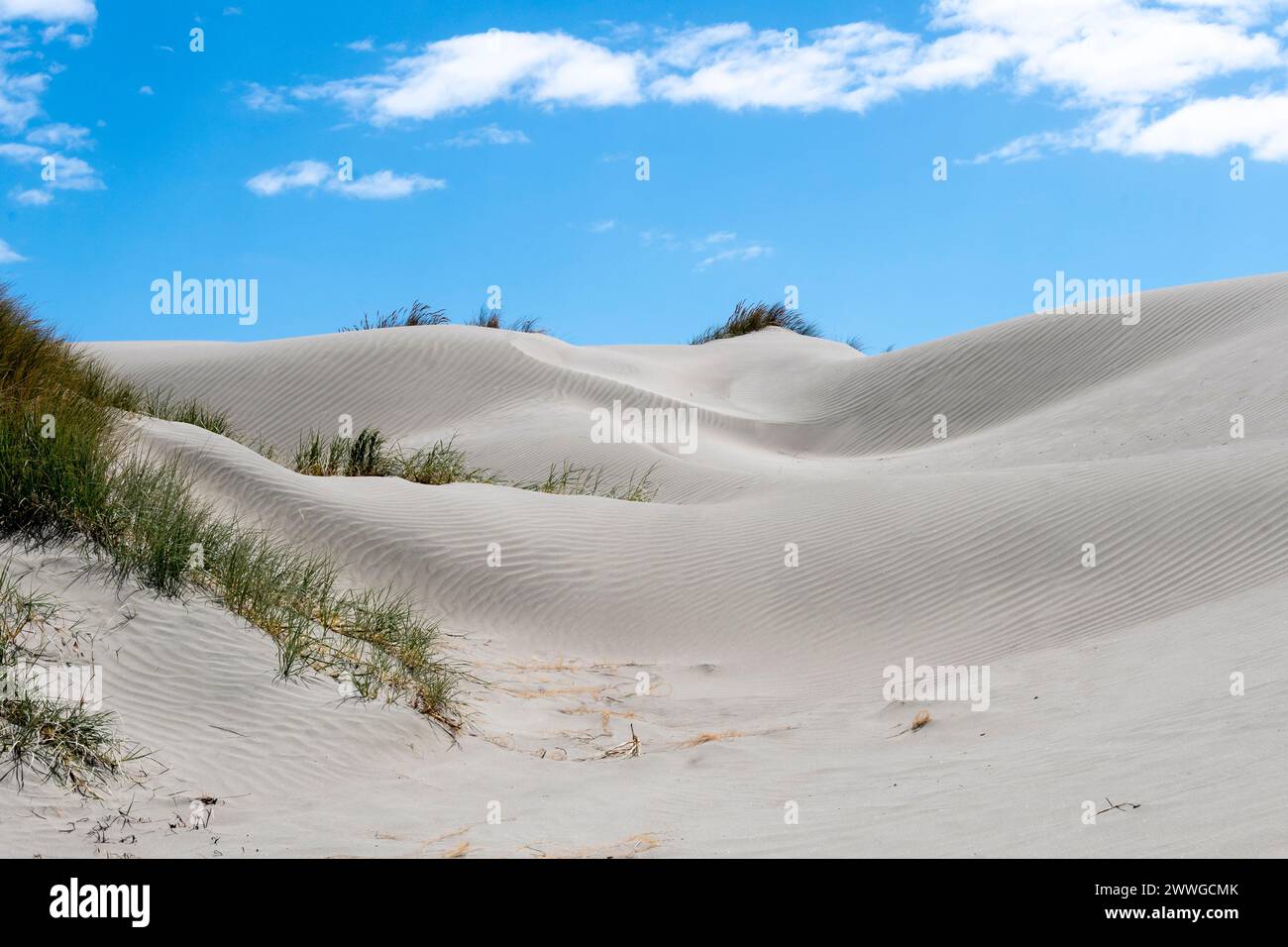 Dune di sabbia, Foxton, Manawatu, Isola del Nord, nuova Zelanda Foto Stock