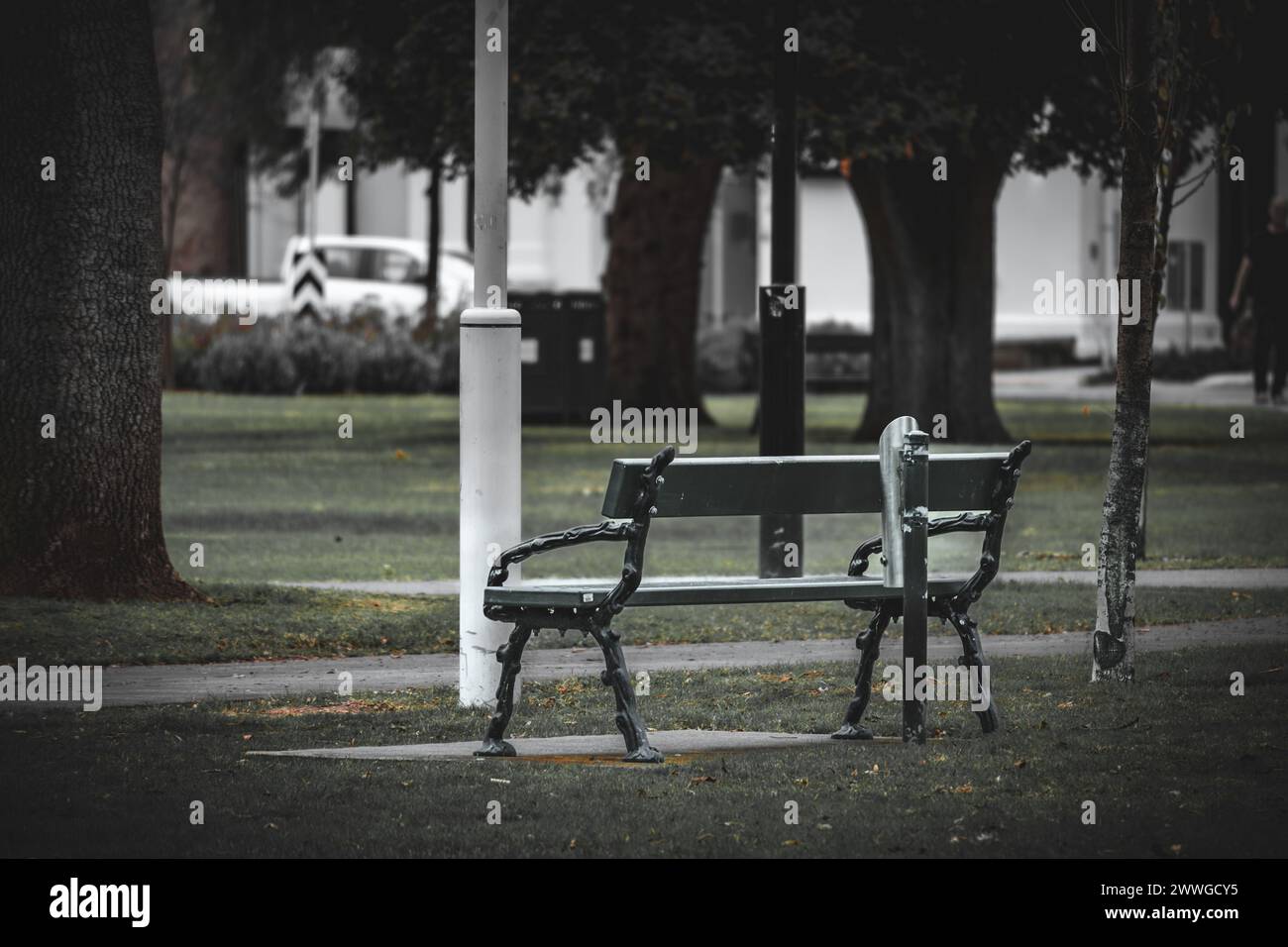 Un'unica panchina in un parco offre un luogo tranquillo per riflettere nella vita urbana. Foto Stock