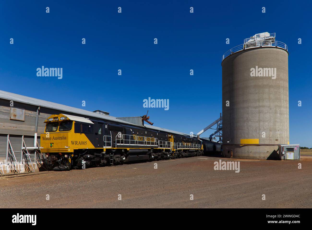 Watco Train WRA005, che scarica il grano di grado H2 dai silos presso il GrainCorp Roma West Depot Roma Queensland Australia Foto Stock