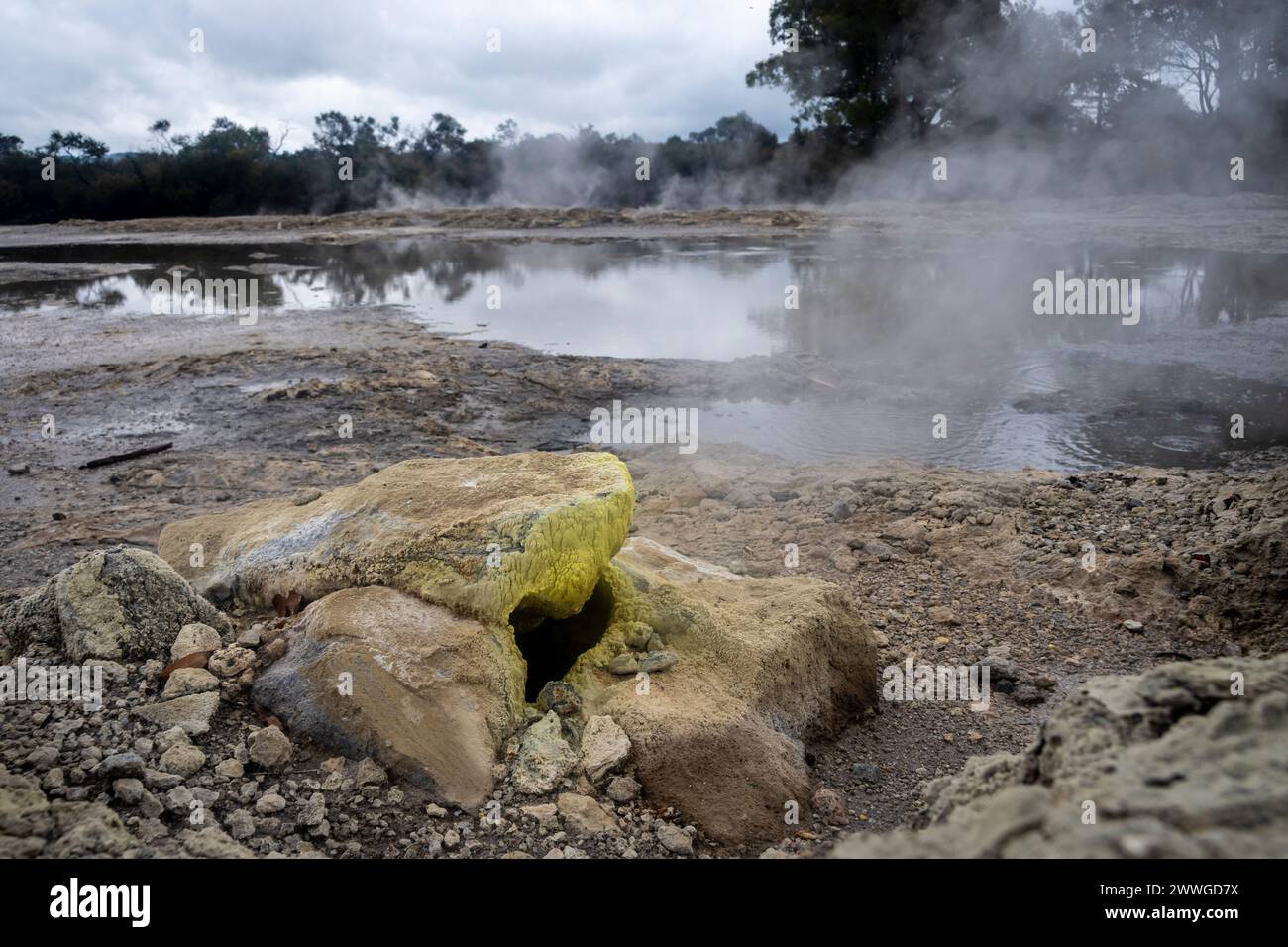 Vapore caldo naturale nell'area geotermale di Rotorua, Isola del Nord, nuova Zelanda Foto Stock