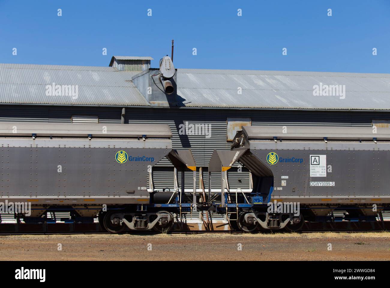 Watco Train effettua il trasferimento di grano di grado H2 dai silos presso il Grain Corp Roma West Depot Roma Queensland Australia Foto Stock