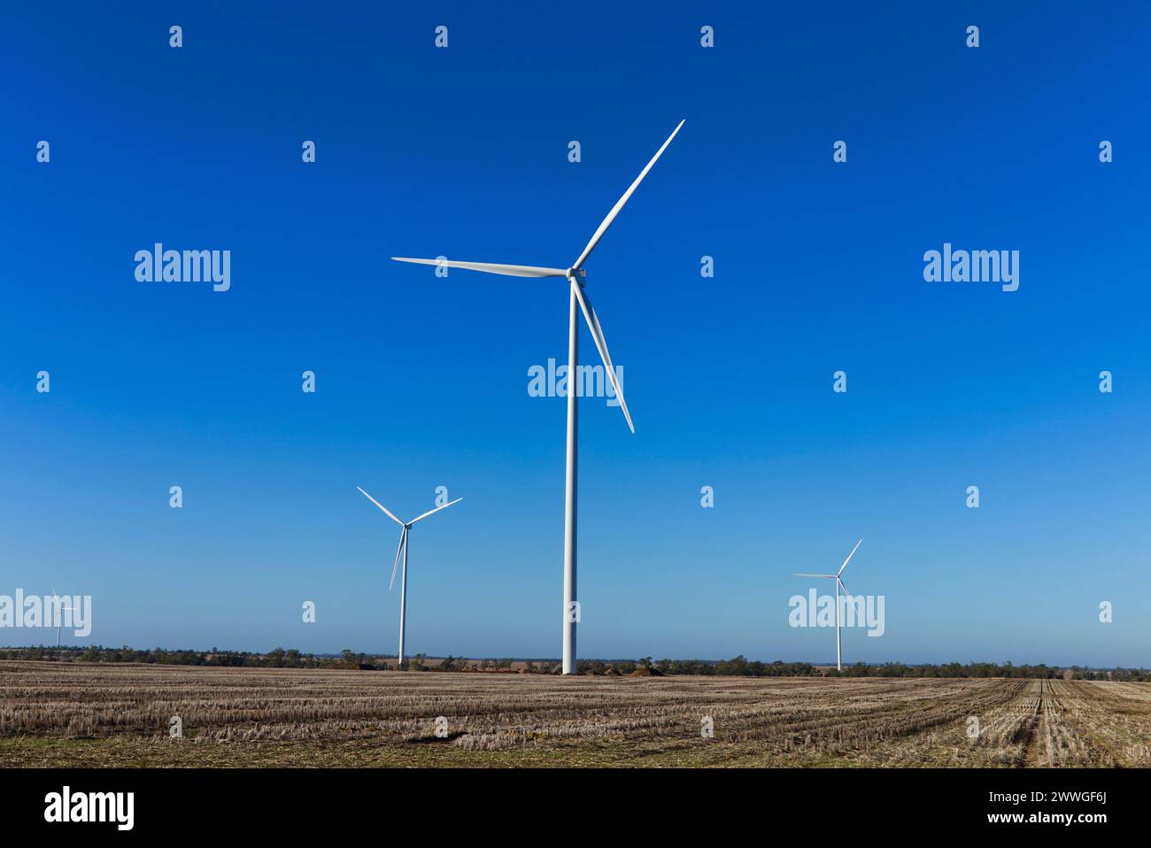 Dulacca Wind Farm sul Western Darling Downs Queensland Australia Foto Stock