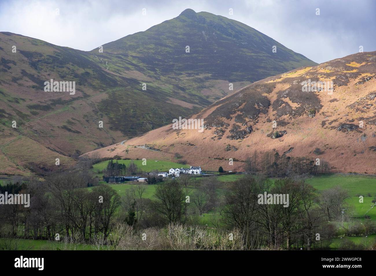 Una vista della gloriosa valle delle Newlands nel Lake District, Cumbria, Inghilterra in un giorno di primavera. Foto Stock