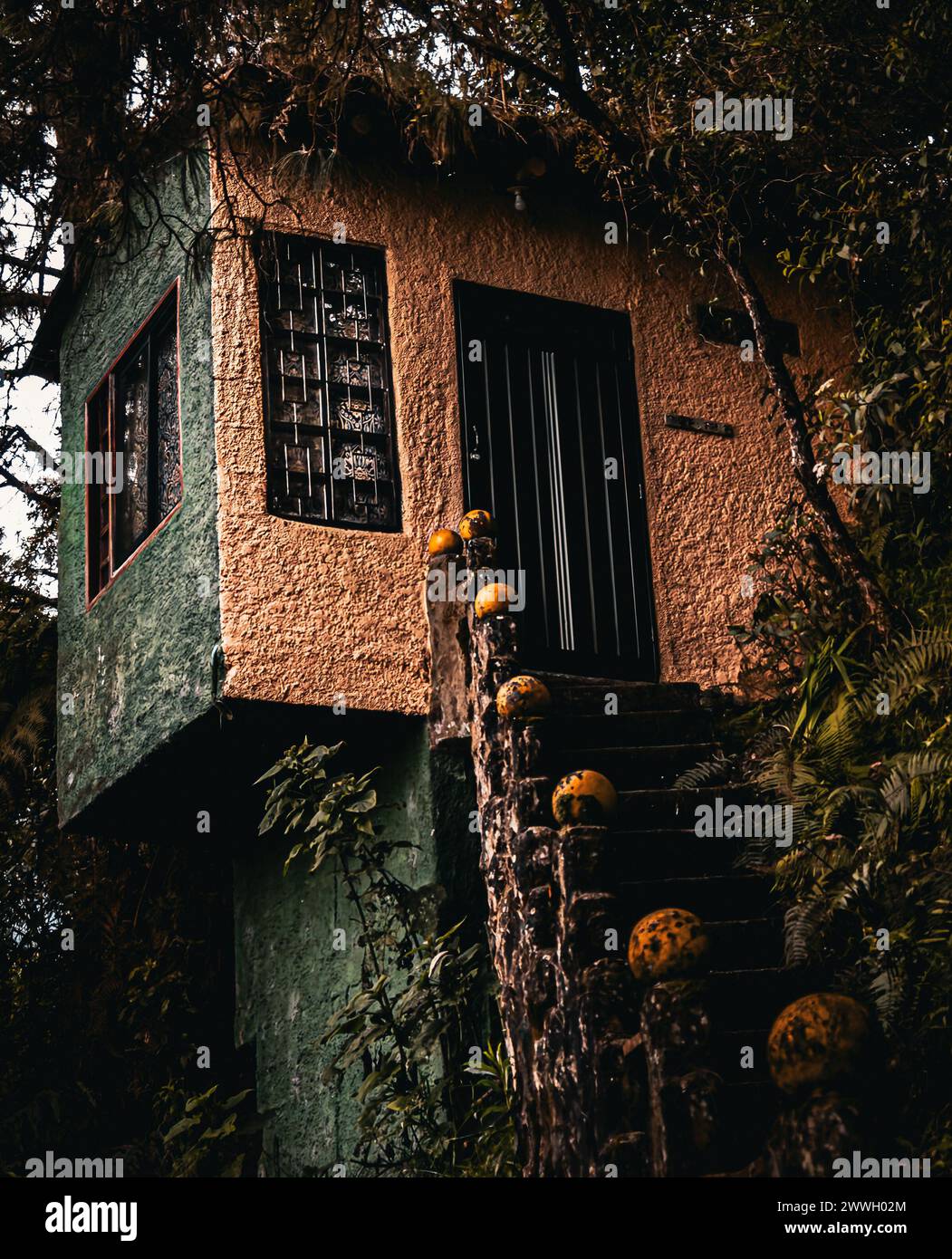 Un cottage appartato è immerso nella lussureggiante vegetazione di una tranquilla foresta. Foto Stock