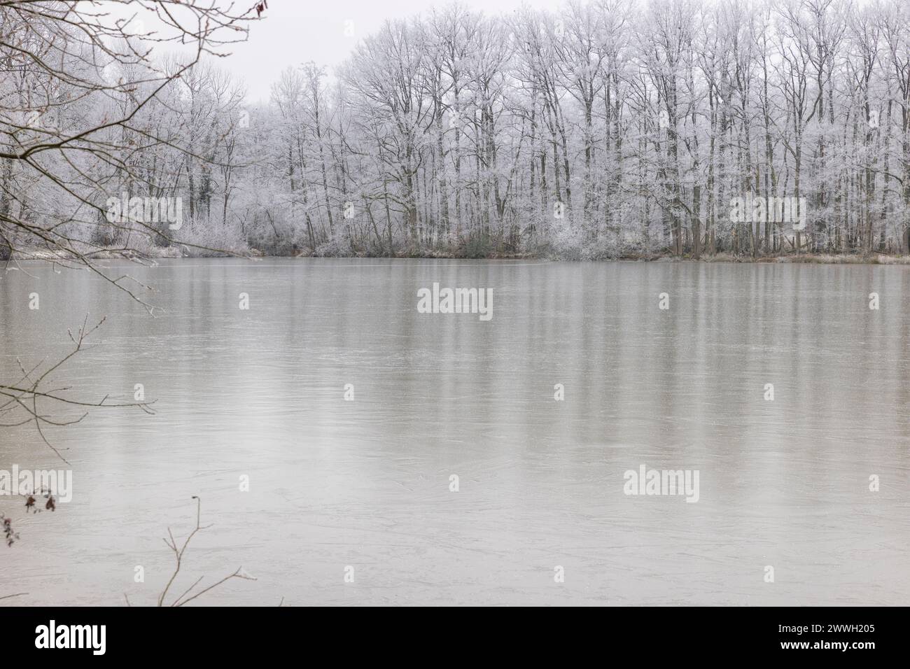 Lago ghiacciato a Loiret, Francia Foto Stock