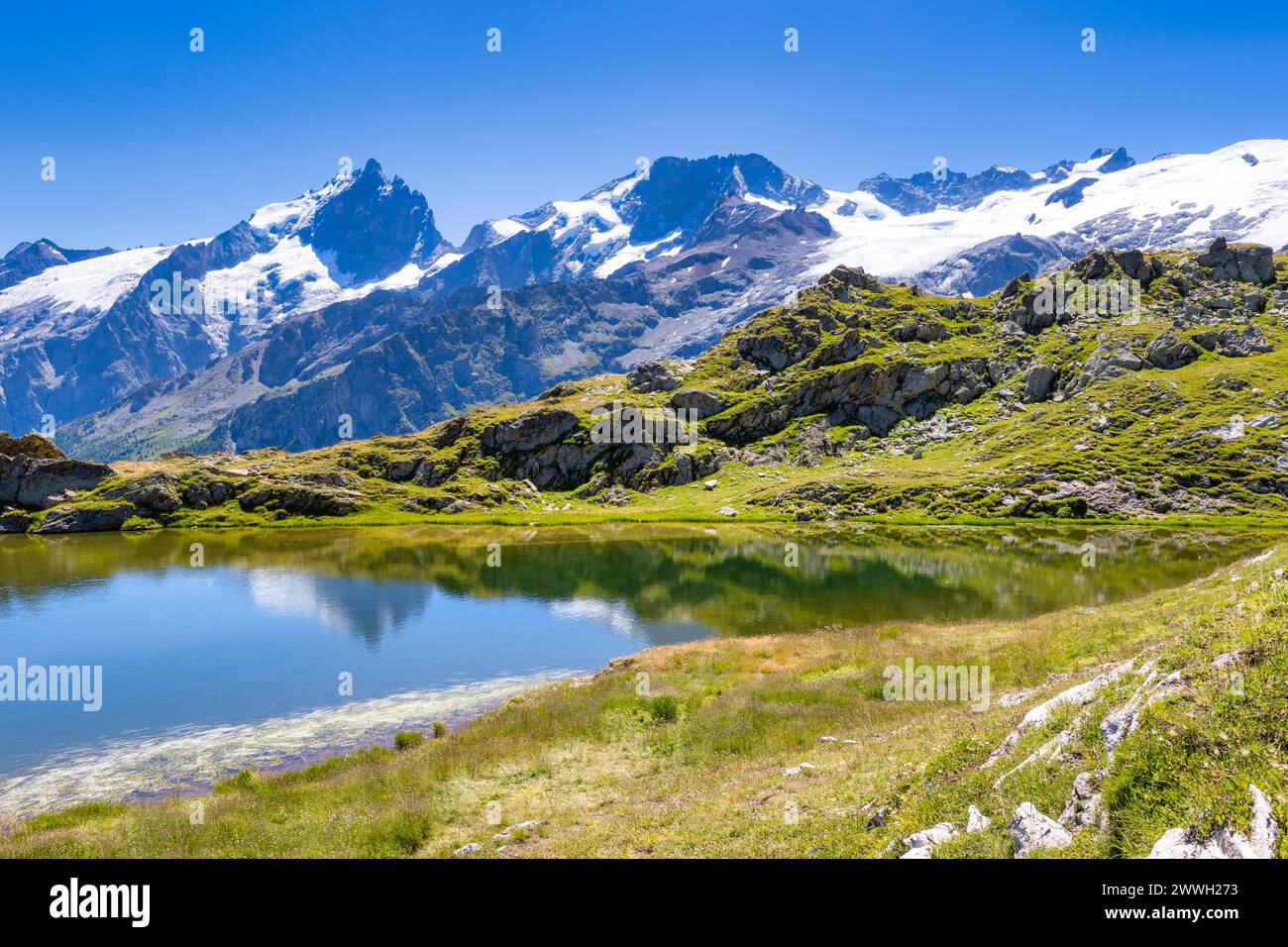 LAC Noir con Massif de la Meije e Rateau, Massif des Ecrins, Francia. Si può vedere il ghiacciaio di Girose Foto Stock