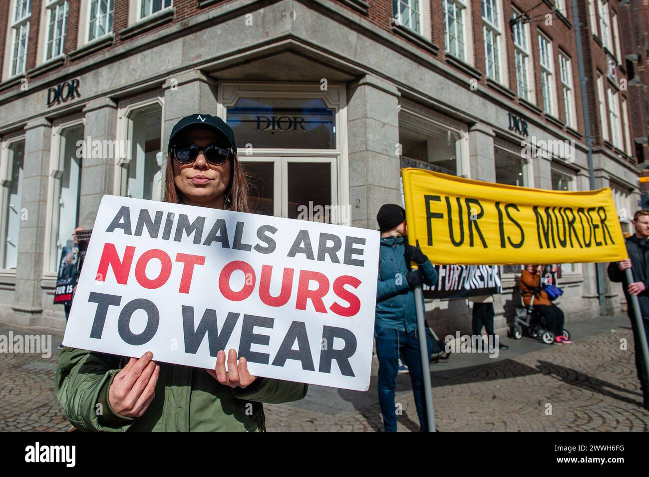 Amsterdam, Paesi Bassi. 23 marzo 2024. Si vede una donna che tiene un cartello a sostegno dei diritti degli animali. Un gruppo di attivisti anti-pelliccia ha protestato sabato mattina di fronte al negozio DIOR nel centro di Amsterdam, per chiedere di smettere di vendere pellicce. Il gruppo rimase davanti alla porta d'ingresso tenendo striscioni e foto di animali sofferenti e gridando slogan contro DIOR e contro l'uso di pellicce di animali nei vestiti. Credito: SOPA Images Limited/Alamy Live News Foto Stock