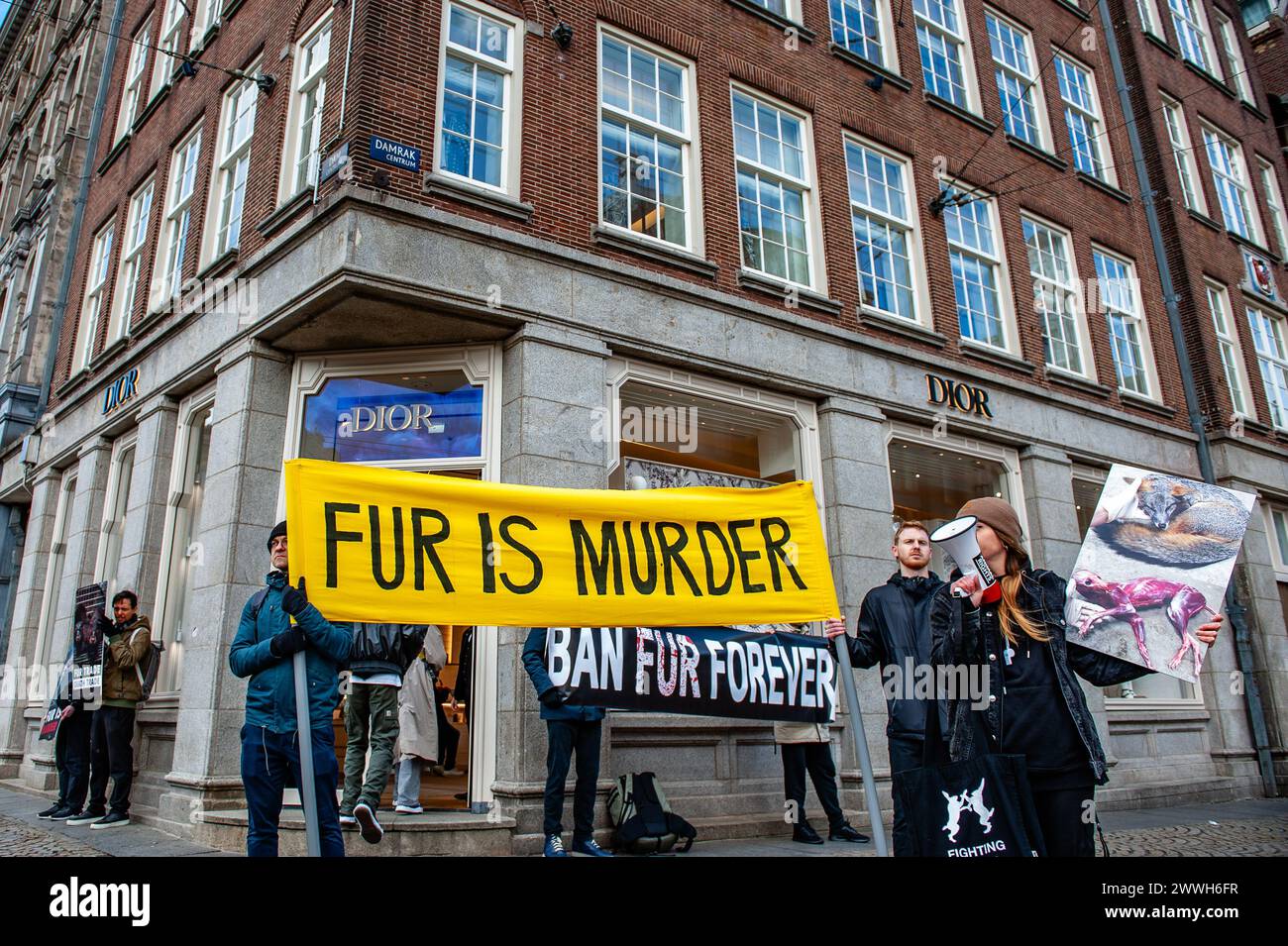 Amsterdam, Paesi Bassi. 23 marzo 2024. Si vedono due persone che tengono un grande striscione contro l'uso di pellicce nei vestiti. Un gruppo di attivisti anti-pelliccia ha protestato sabato mattina di fronte al negozio DIOR nel centro di Amsterdam, per chiedere di smettere di vendere pellicce. Il gruppo rimase davanti alla porta d'ingresso tenendo striscioni e foto di animali sofferenti e gridando slogan contro DIOR e contro l'uso di pellicce di animali nei vestiti. Credito: SOPA Images Limited/Alamy Live News Foto Stock