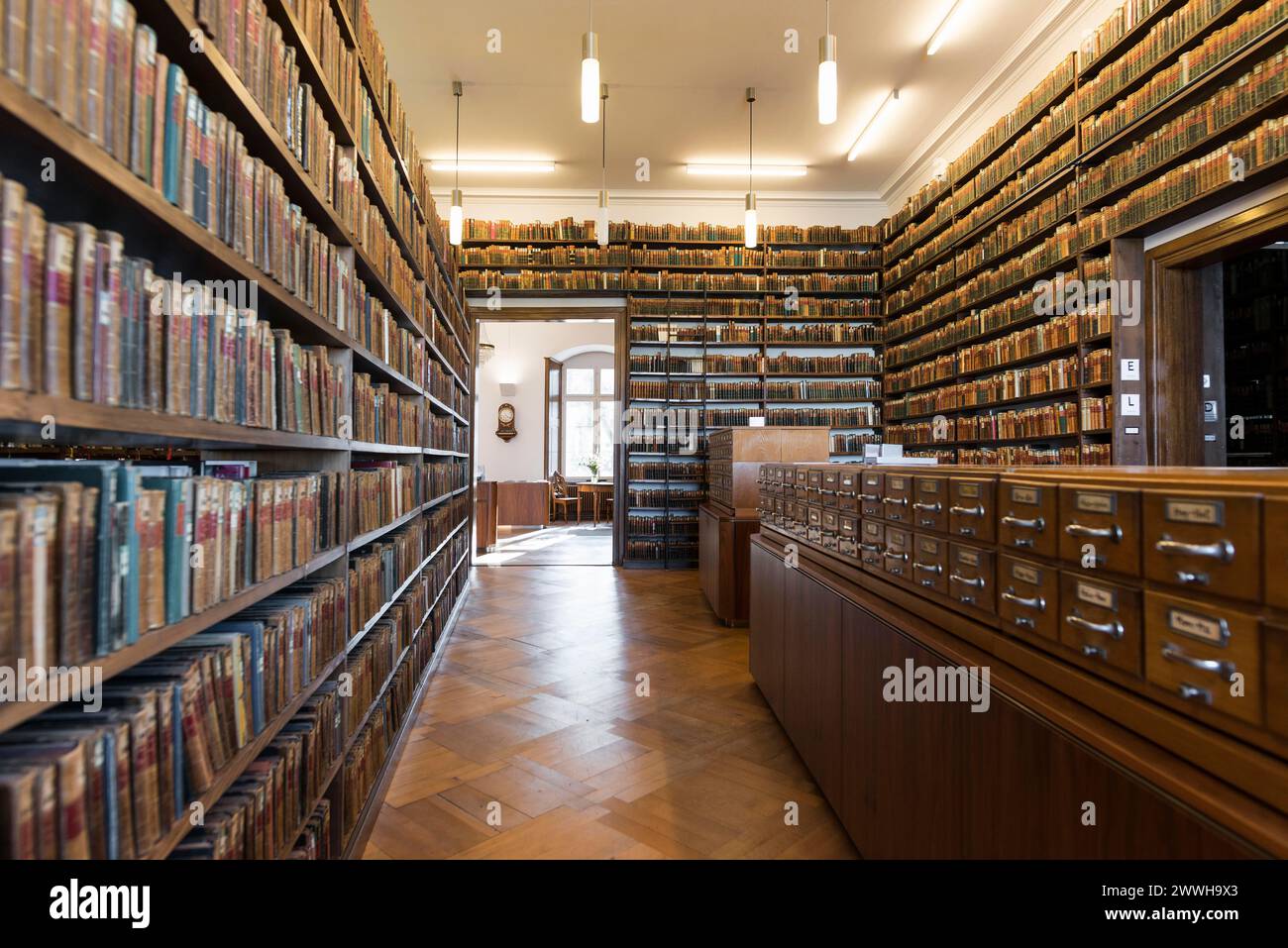 Scaffali con vecchi libri, biblioteca della Allgemeine Lesegesellschaft Basilea, Basilea, Svizzera Foto Stock