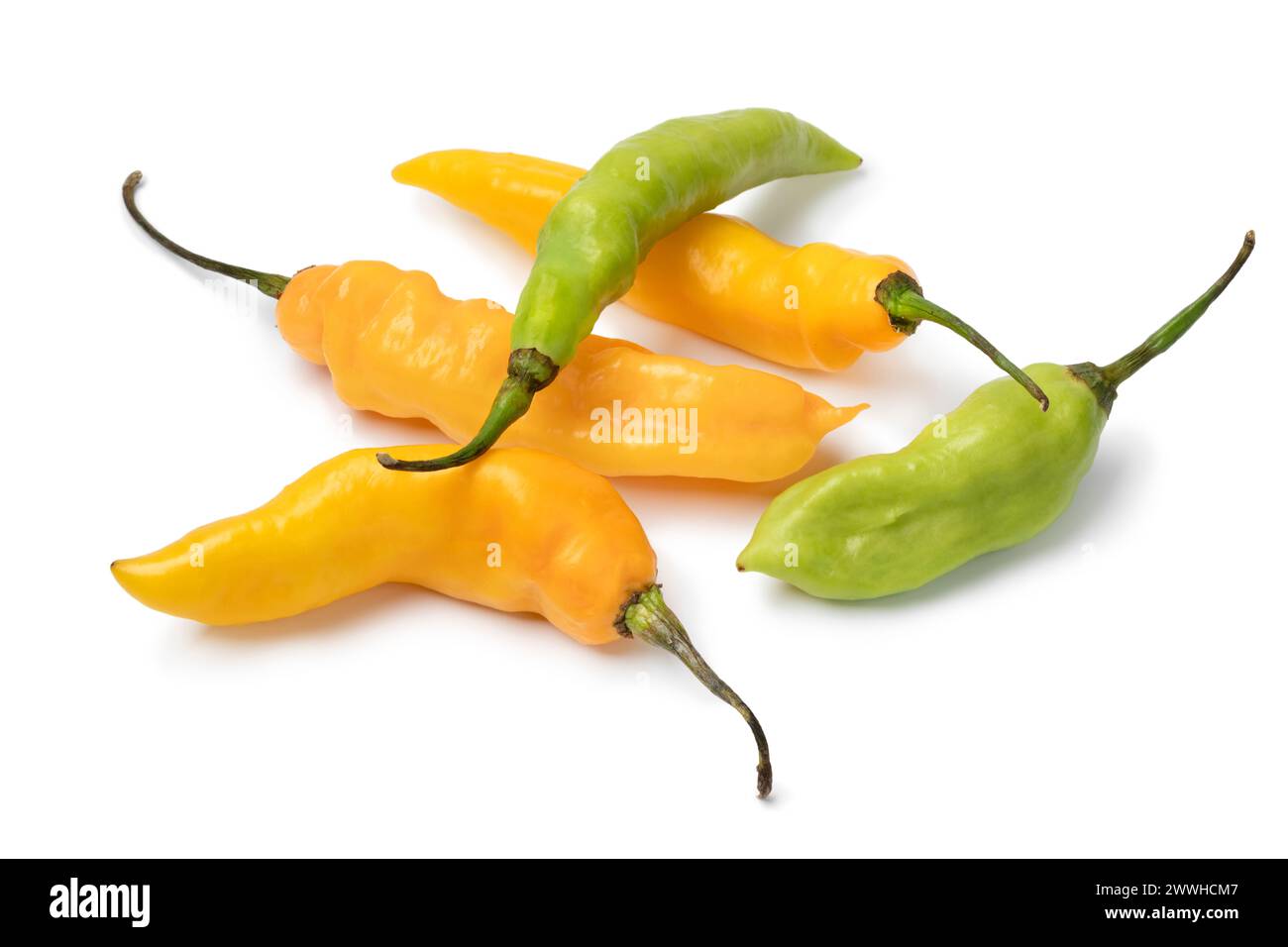 Peperoncino Madame Jeanette verde e giallo maturo intero fresco, primo piano isolato su sfondo bianco Foto Stock
