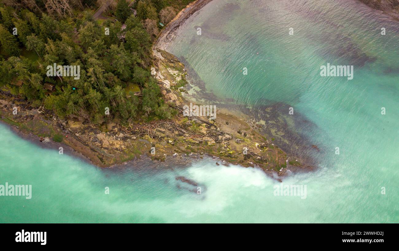 Piccole rocce e alberi aggiungono un tocco unico al bordo dell'acqua Foto Stock Piccole rocce e alberi aggiungono un tocco unico al bordo dell'acqua Foto Stock