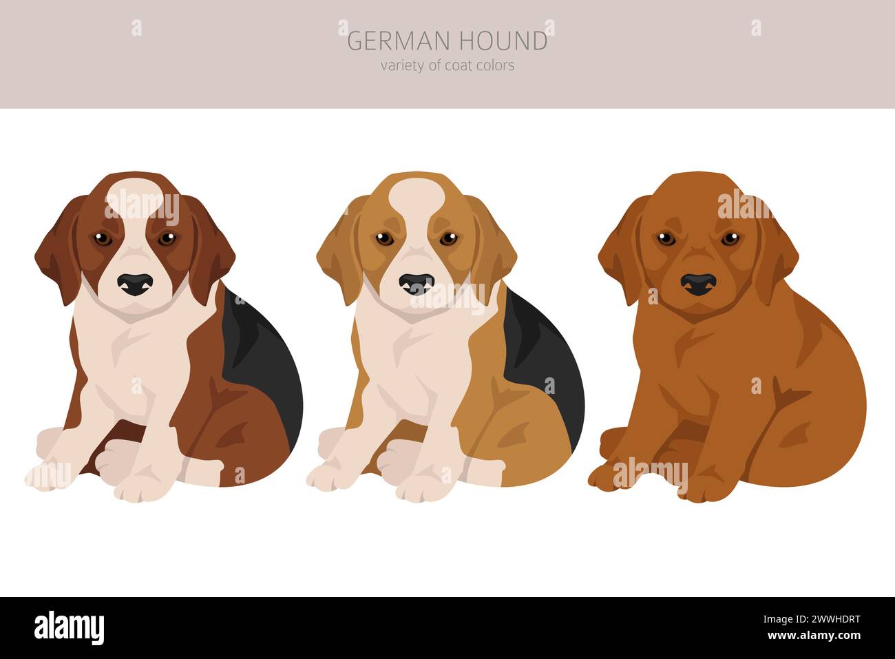 Cucciolo di Hound tedesco. Set di colori diversi per il rivestimento. Illustrazione vettoriale Illustrazione Vettoriale