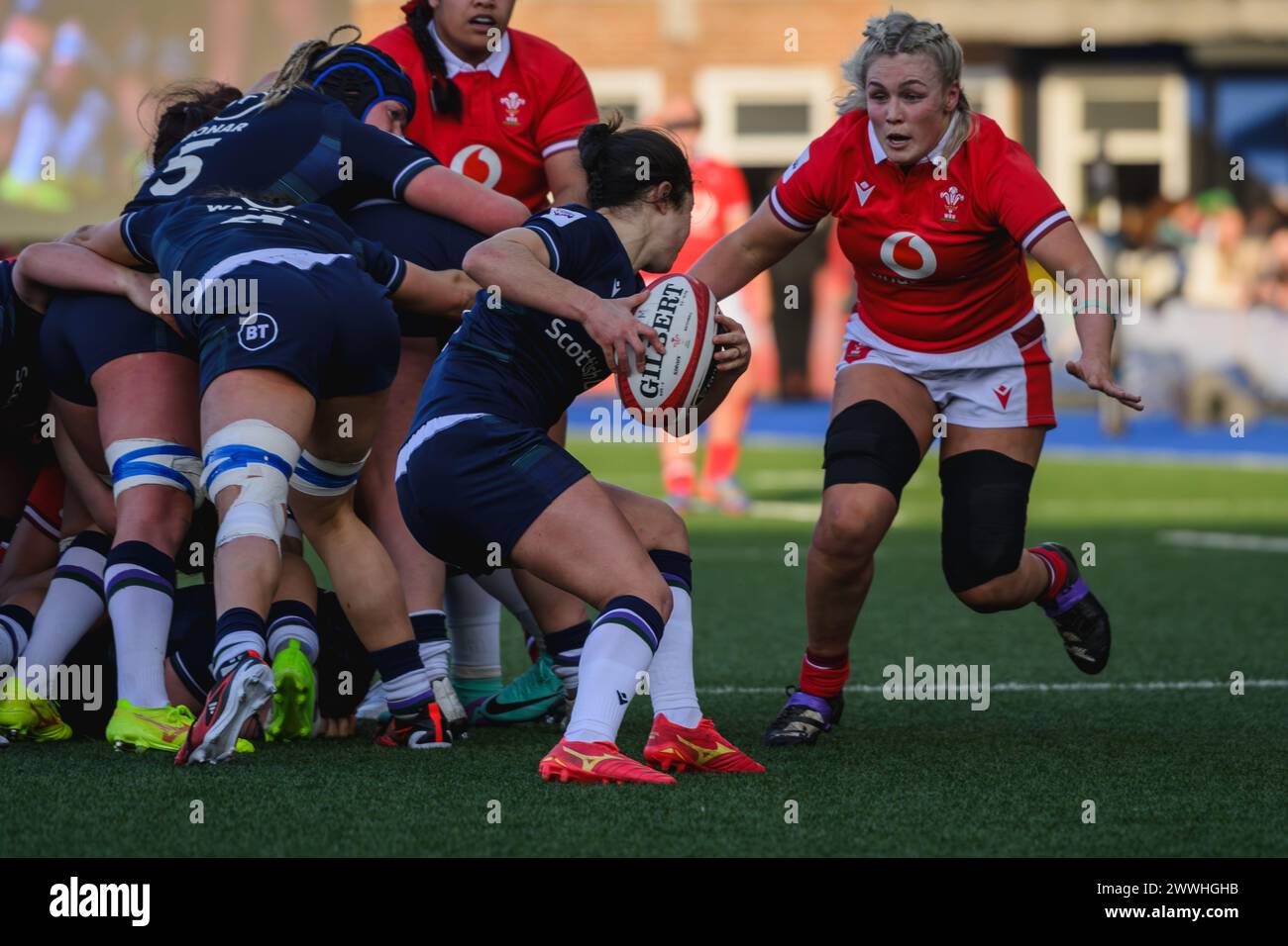 Cardiff, Galles. 23 marzo 2024. Caity Mattinson fa una pausa con il pallone durante la partita di rugby femminile delle sei Nazioni, Galles contro Scozia al Cardiff Park Arms Stadium di Cardiff, Galles. Crediti: Sam Hardwick/Alamy Live News. Foto Stock
