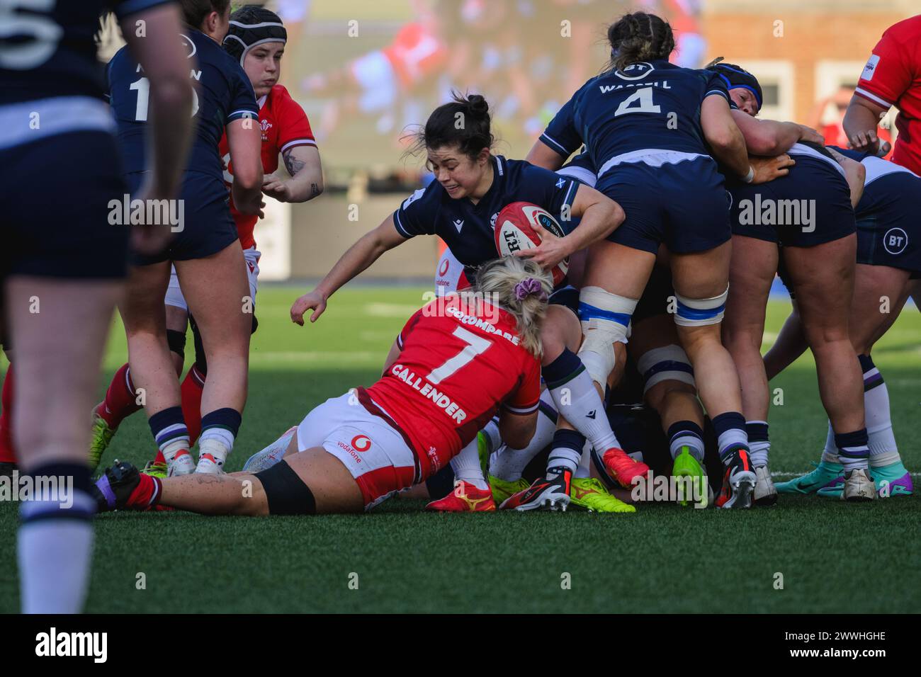 Cardiff, Galles. 23 marzo 2024. Alex Callender affronta Caity Mattinson durante la partita di rugby delle sei Nazioni femminili, Galles contro Scozia al Cardiff Park Arms Stadium di Cardiff, Galles. Crediti: Sam Hardwick/Alamy Live News. Foto Stock