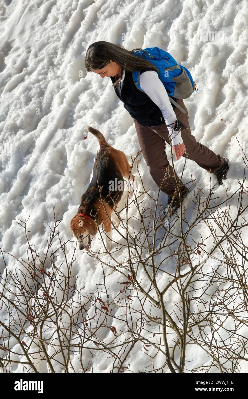 Signora con un cane Beagle durante un'escursione sulla neve in montagna Foto Stock