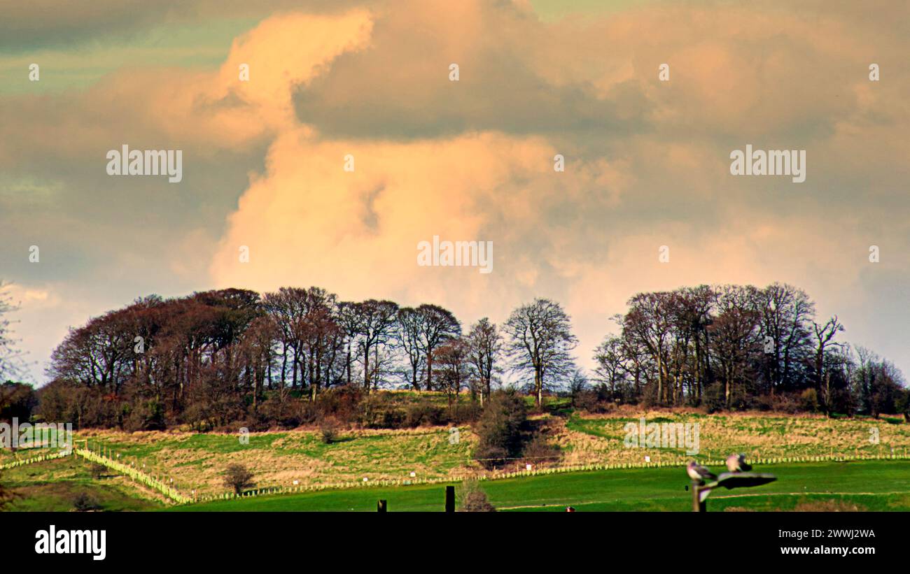 Glasgow, Scozia, Regno Unito. 24 marzo 2024: Regno Unito Meteo: Il sole primaverile in città ha visto castlehill collina sulle mura antonine famosa per i suoi strani eventi. Credit Gerard Ferry/Alamy Live News Foto Stock