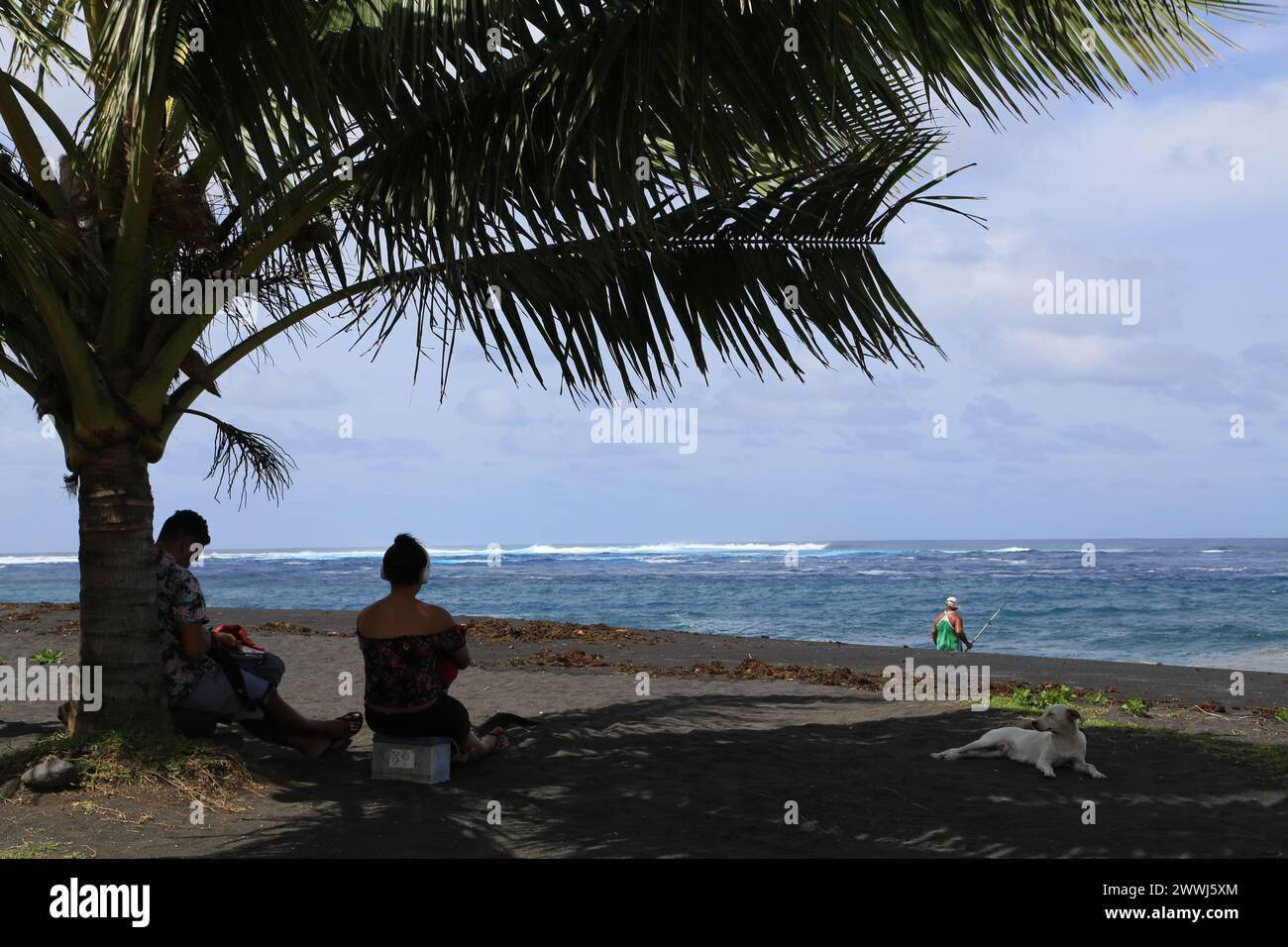 Spiaggia di sabbia nera a Papara sull'isola vulcanica di Tahiti nella Polinesia francese. Questa costa con l'Oceano Pacifico è un luogo ideale per il surf Foto Stock