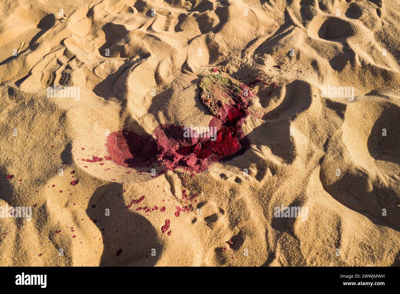 Mauritania, dintorni di Chami, tradizionale rituale di macellazione di capre, sangue Foto Stock