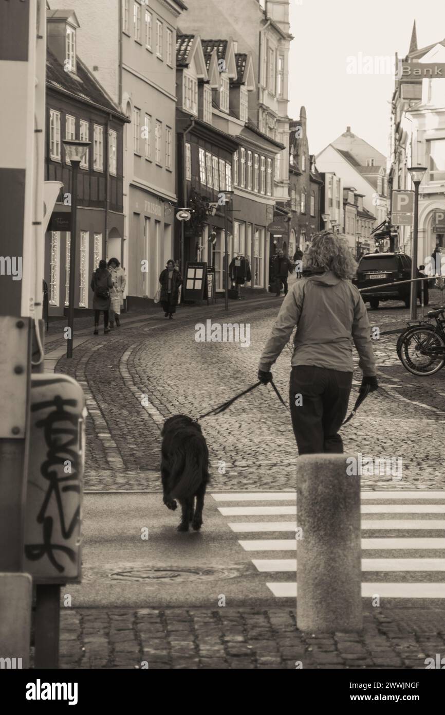 Donna che attraversa una strada con il suo cane Foto Stock