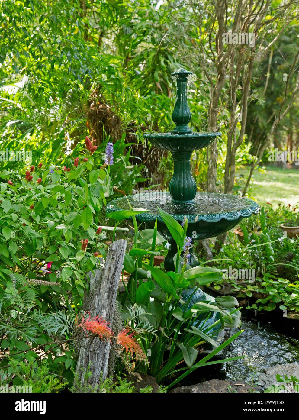 Fontana e giardino - dopo lavori di ristrutturazione Foto Stock