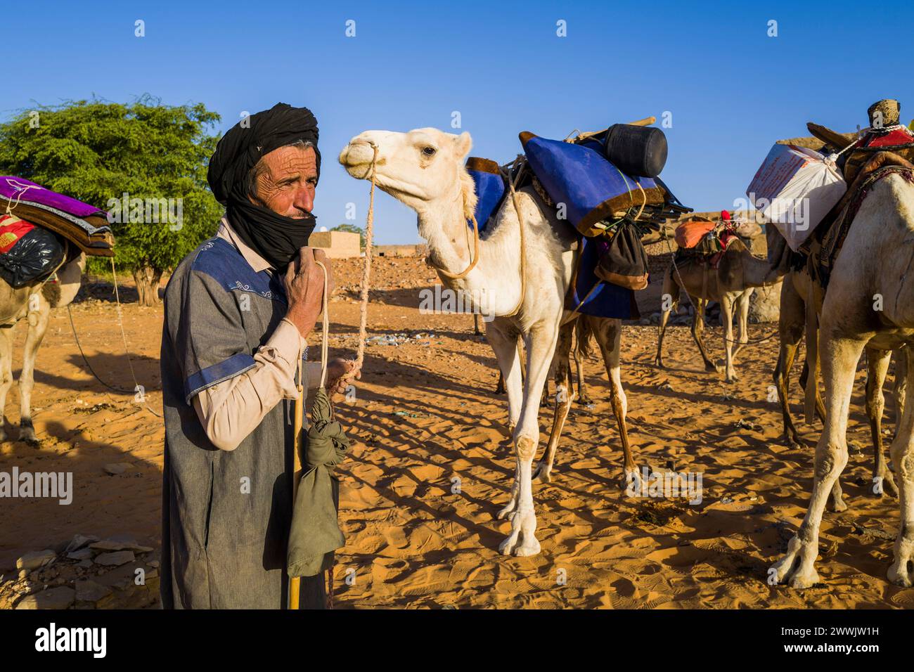 Mauritania, Chinguetti, vita quotidiana Foto Stock
