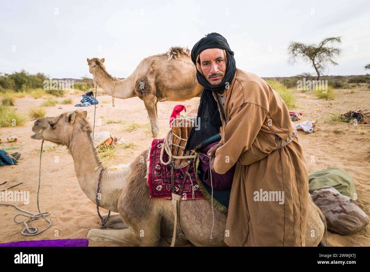 Mauritania, dintorni di M'Haireth, ritratto Foto Stock