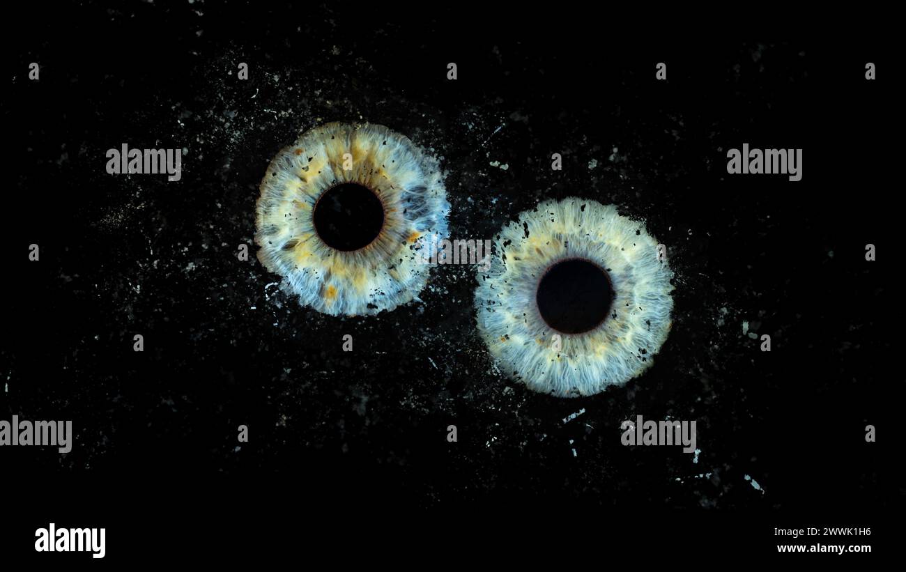 Descrizione: Effetto di esplosione della galassia degli occhi umani che si scontrano su sfondo nero. Primo piano di Iris blu e verde. Anatomia strutturale. Iris De Foto Stock