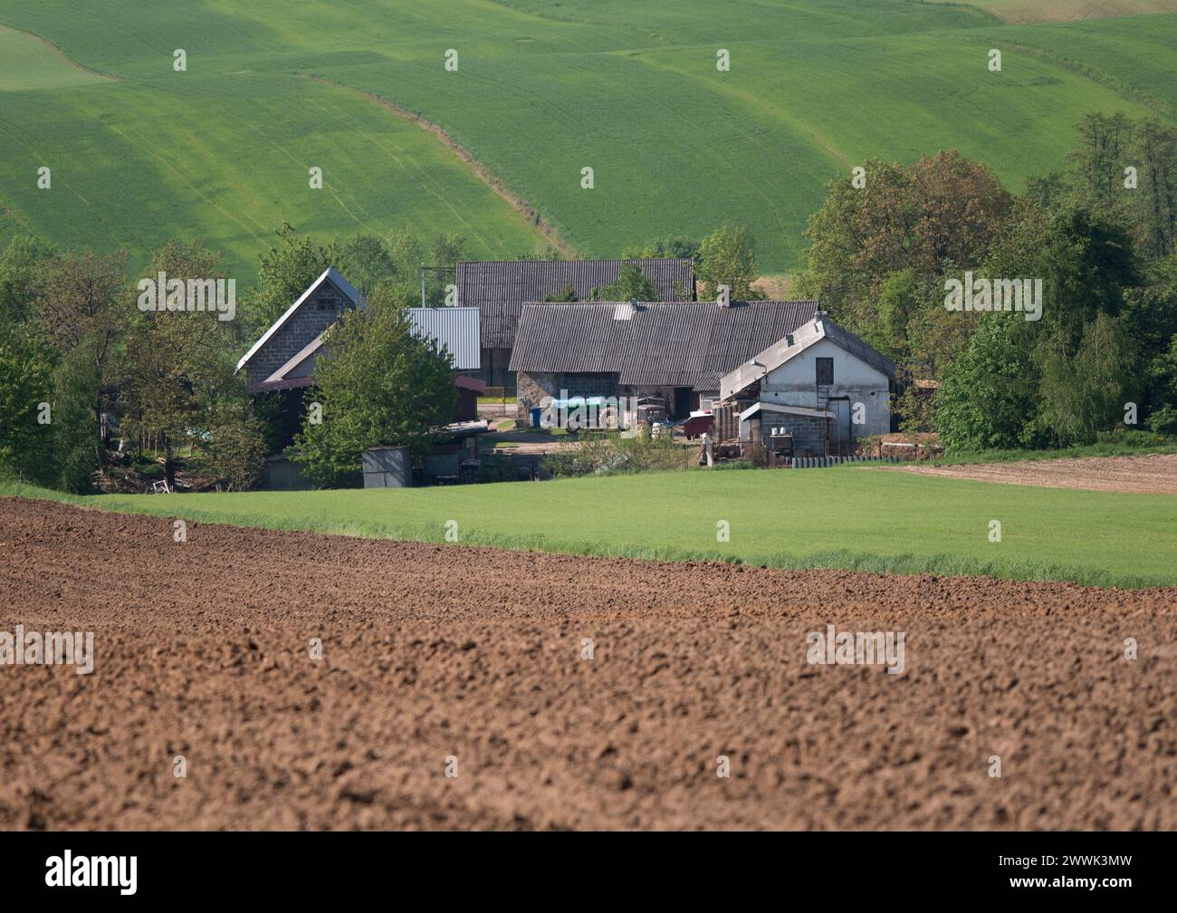 Paesaggio rurale, Miechowska Upland, piccola Polonia Foto Stock