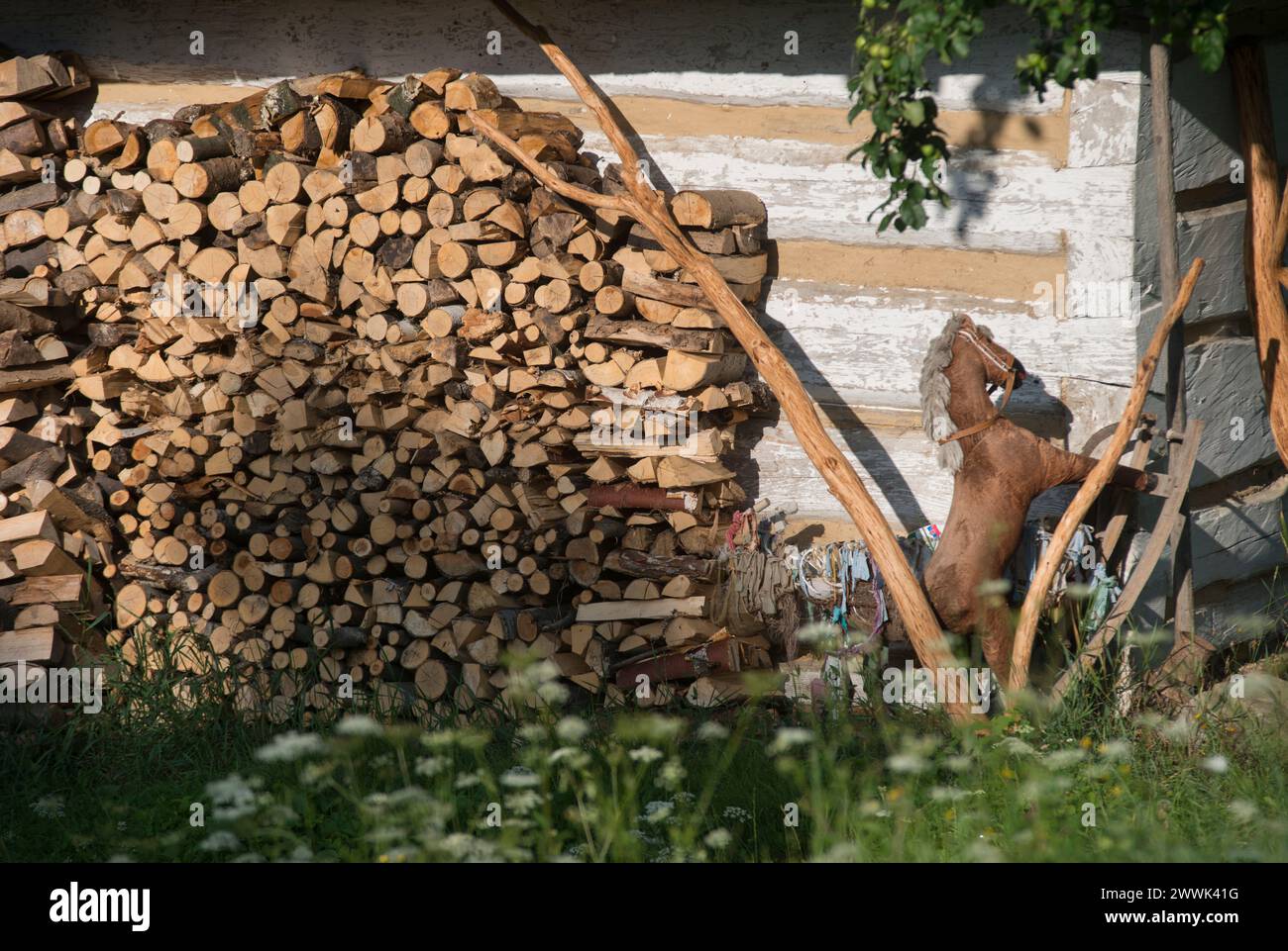 Nowica, regione di Lemko, Polonia orientale Foto Stock